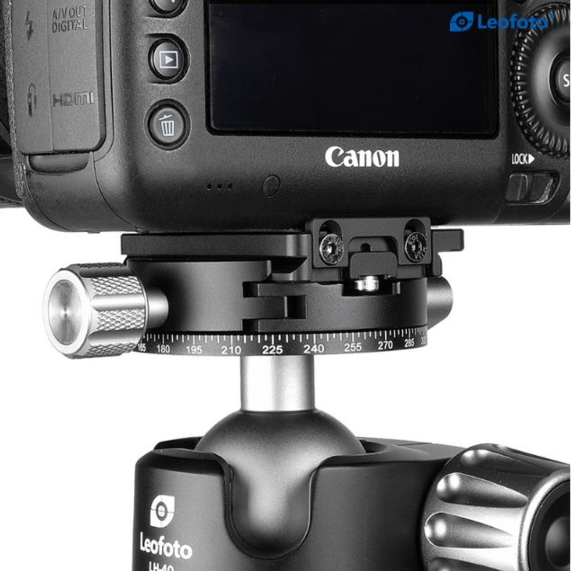 Canon-Kamera auf einem Leofoto-Stativkopf mit Einstellknöpfen und Markierungen.