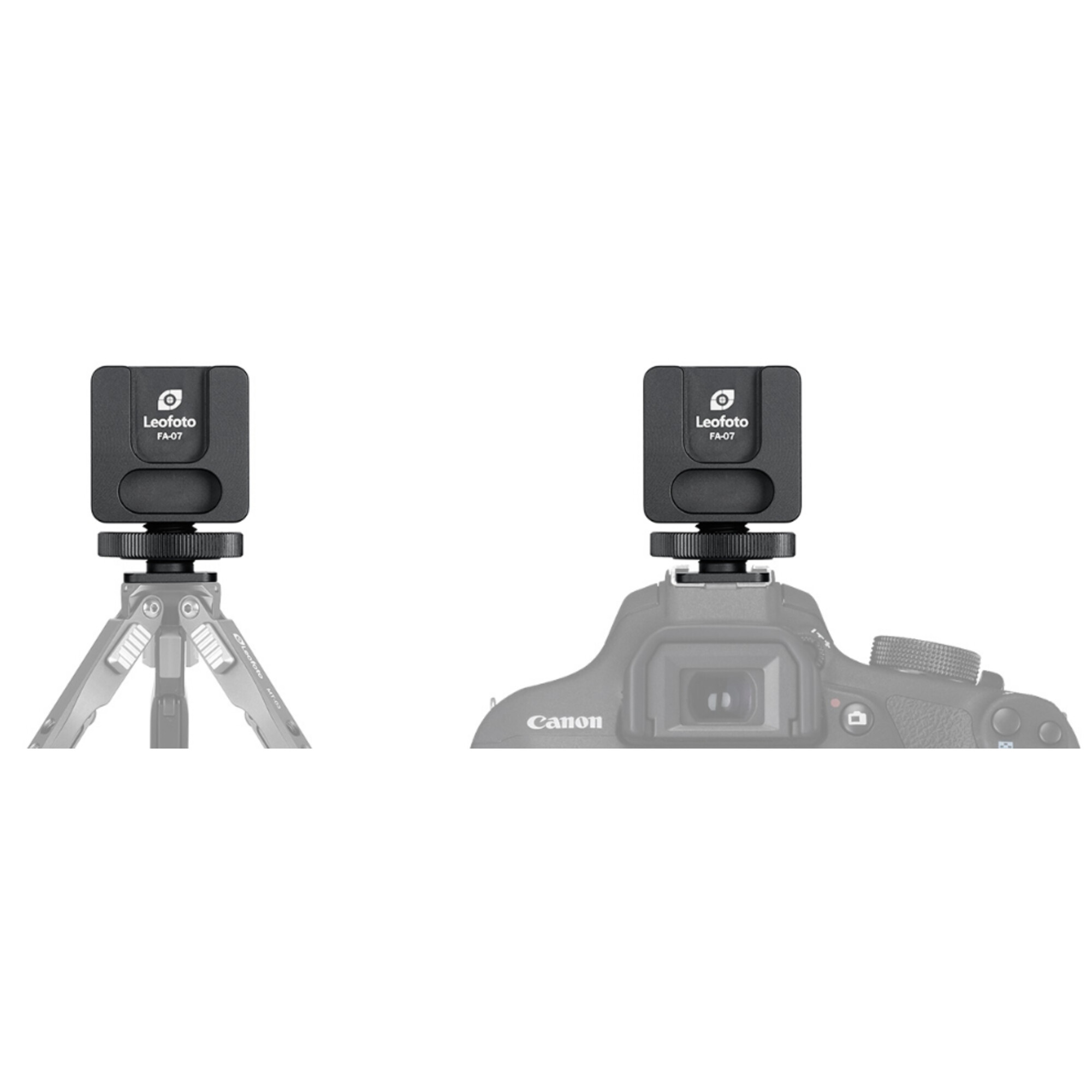 Leofoto FA-07 Blitzschuhadapter auf Stativ und Canon Kamera.