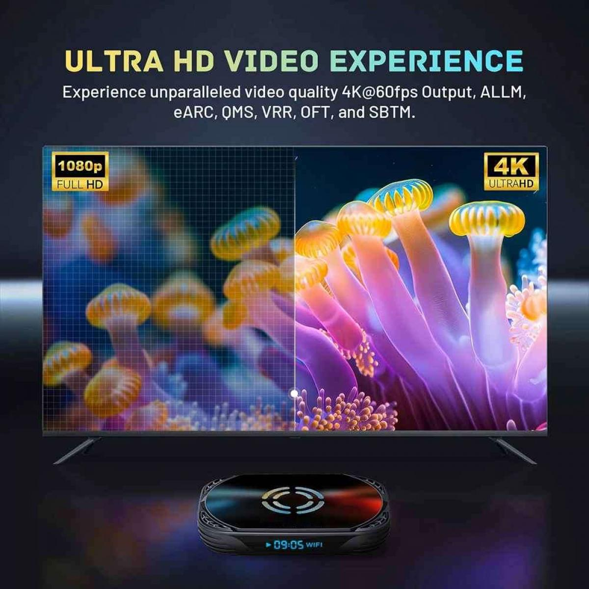 Fernseher zeigt nebeneinander 1080p- und 4K-UHD-Bilder von bunten Seeanemonen.