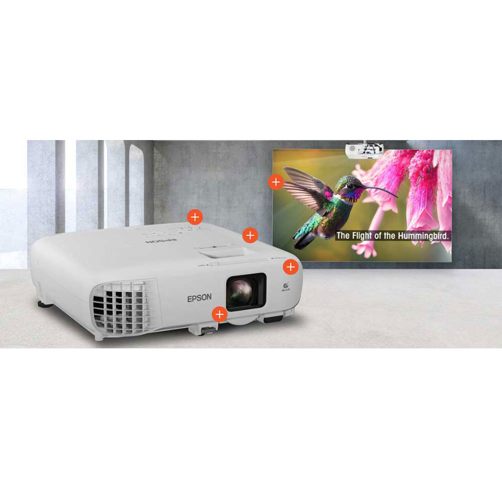 Un projecteur Epson blanc affiche un colibri en vol sur un écran.