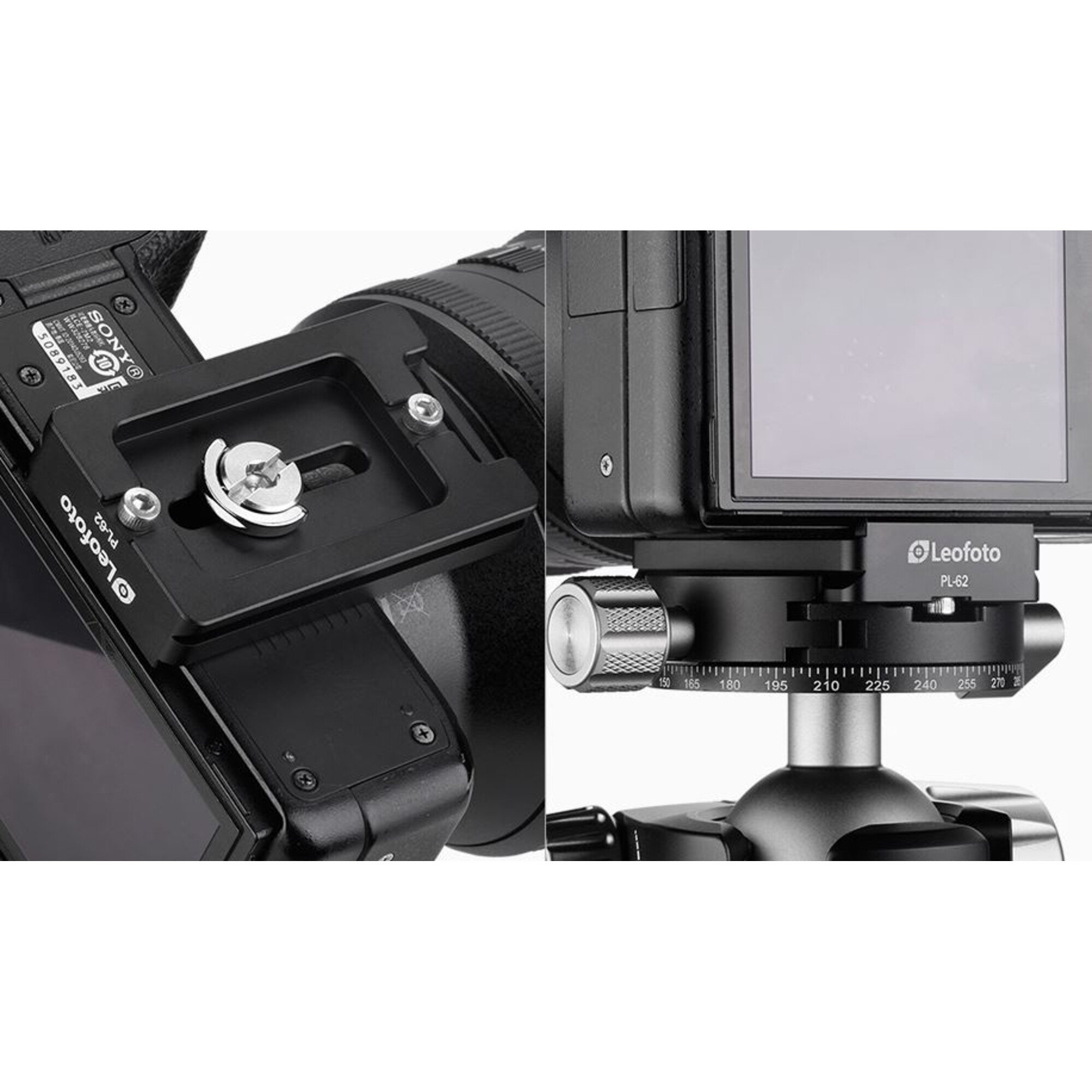 Eine schwarze Kameraplatte wird an einer Sony-Kamera befestigt. Ein Stativkopf mit Leofoto PL-62 ist abgebildet.