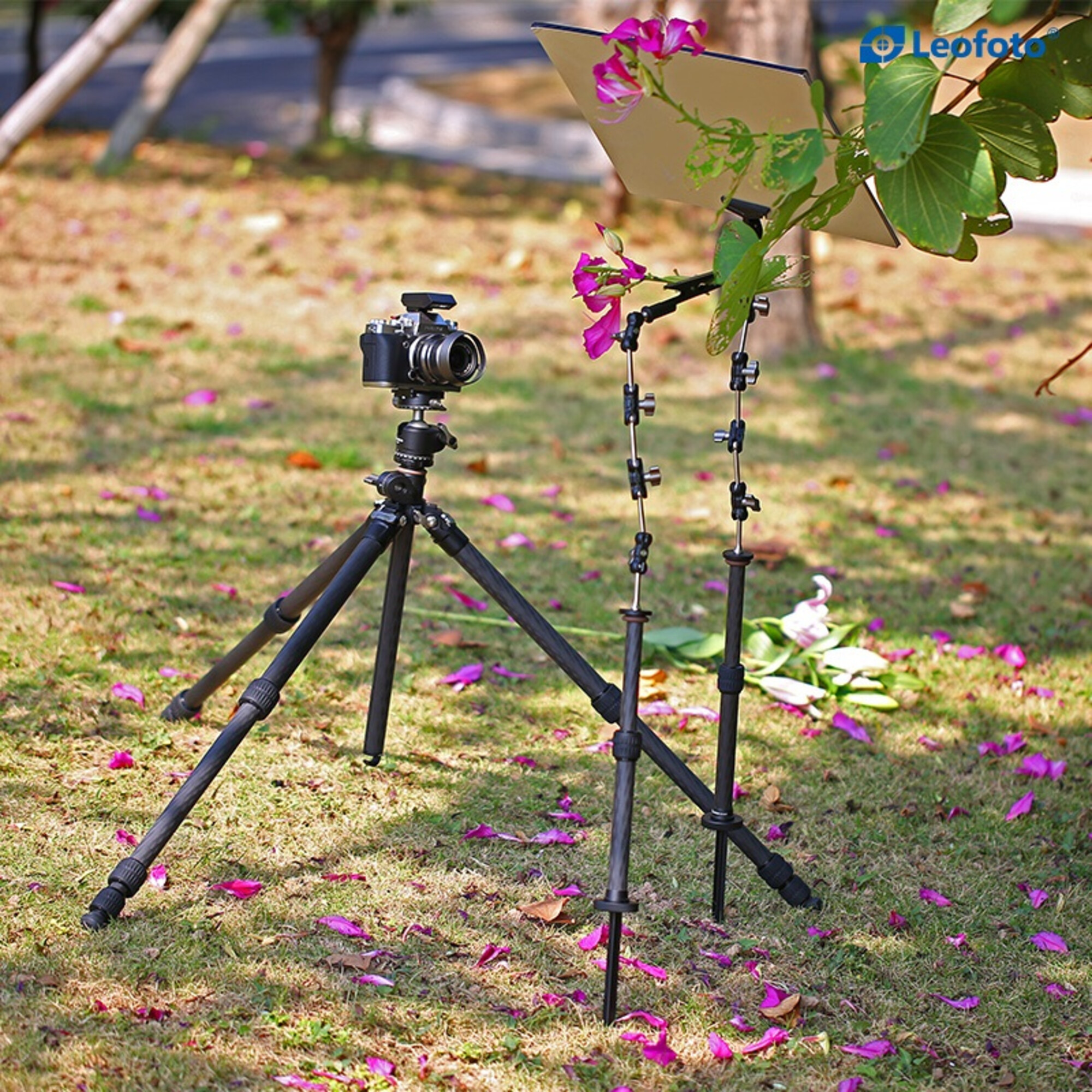 Eine Kamera auf einem Stativ ist im Freien auf Gras aufgebaut, mit verstreuten rosa Blütenblättern.