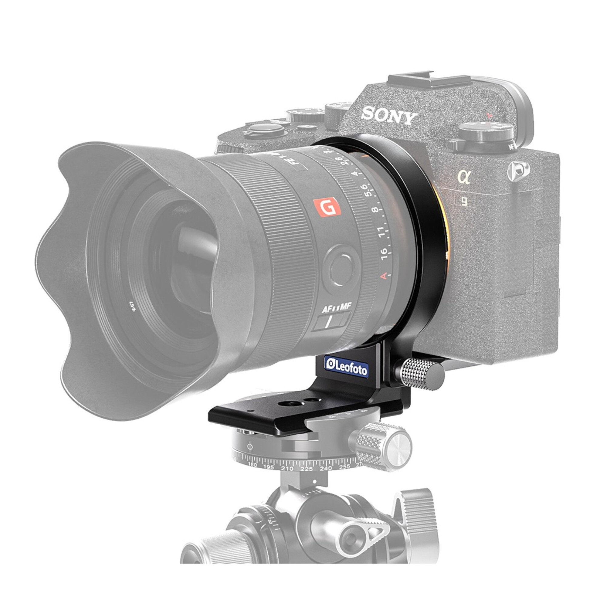 Sony-Kamera mit großem Objektiv, befestigt an einer Leofoto-Stativhalterung.