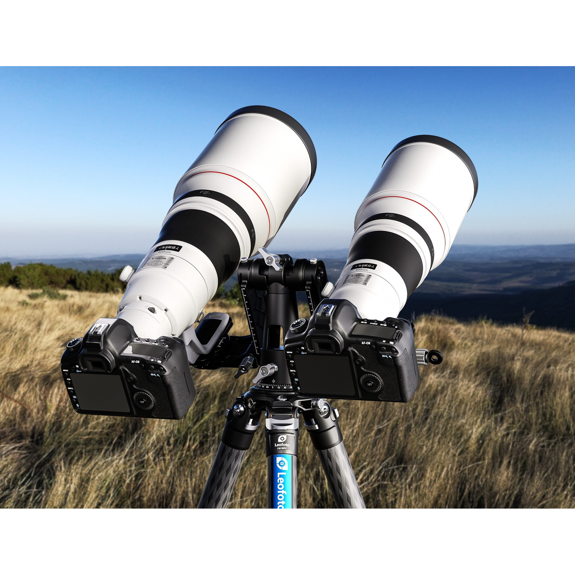 Zwei Canon-Kameras mit langen Teleobjektiven auf einem Stativ in einer grasbewachsenen, hügeligen Landschaft.