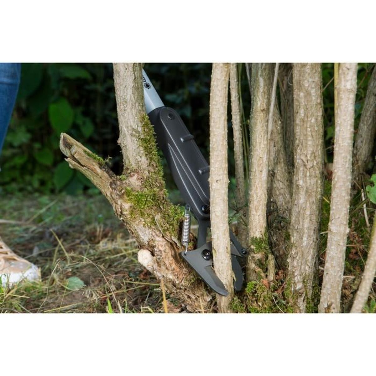 Forbici da giardino tagliano un ramo accanto a tronchi muschiosi.