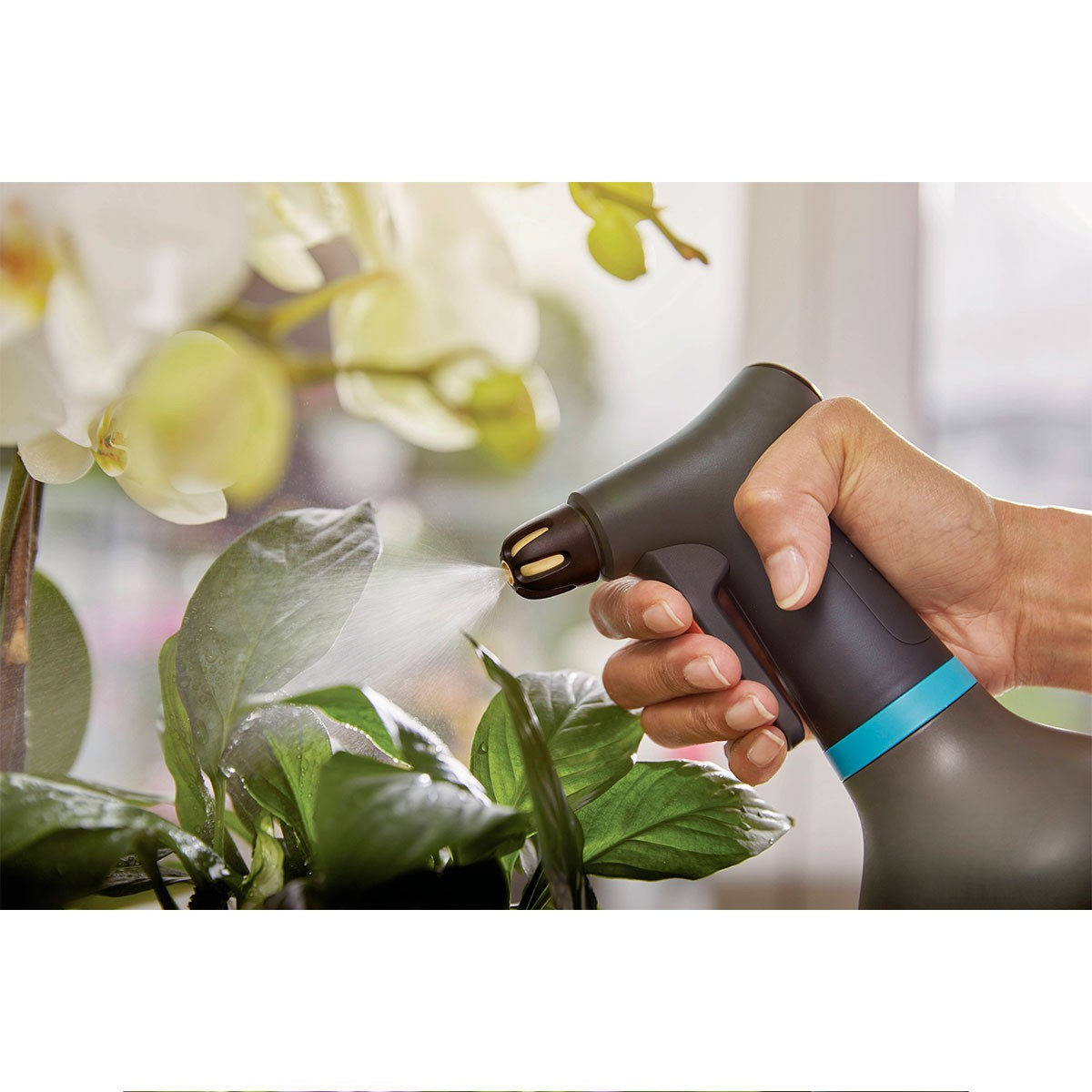 Mano spruzza acqua sulle foglie verdi vicino a fiori di orchidea bianchi.