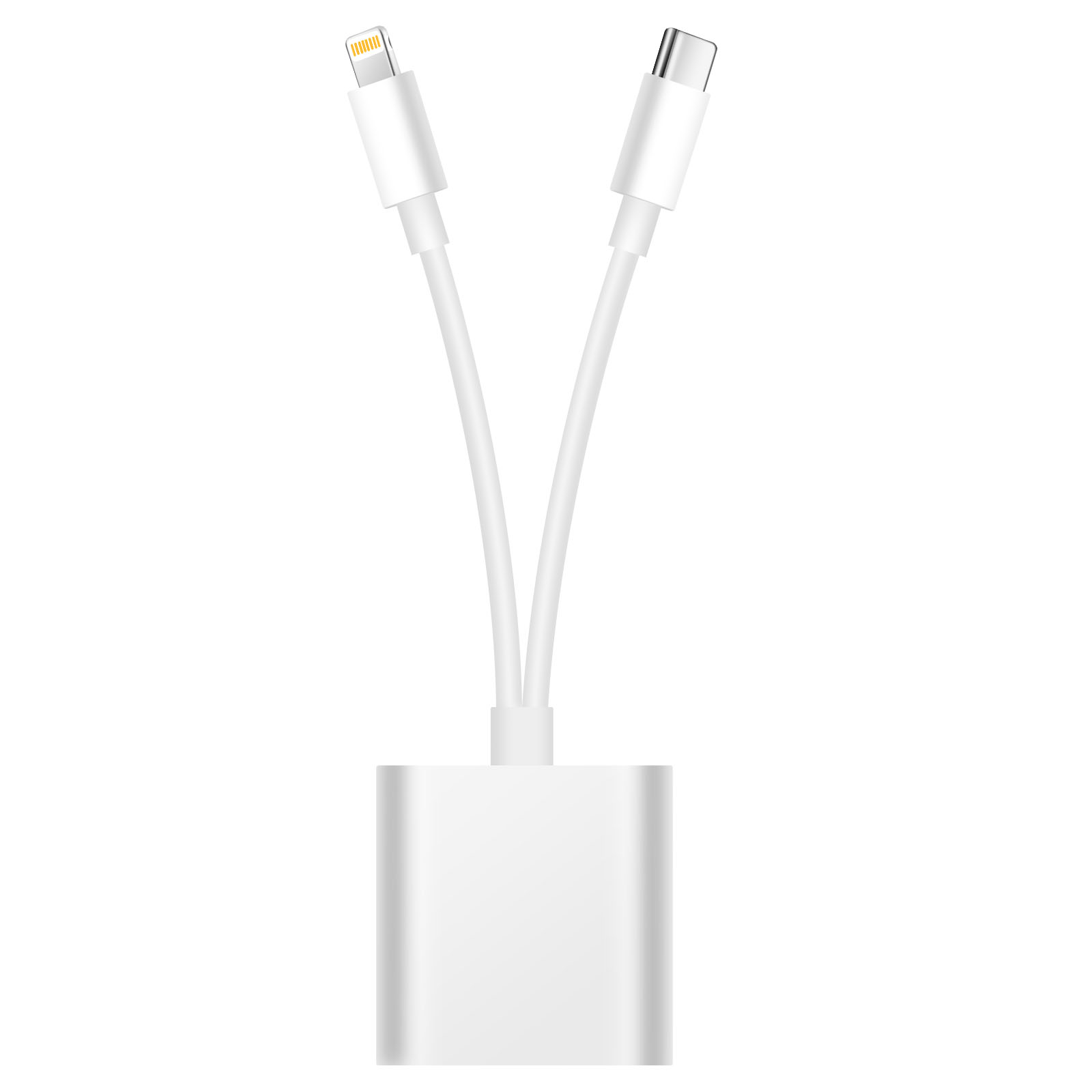 Adattatore bianco con due cavi: Lightning e USB-C.