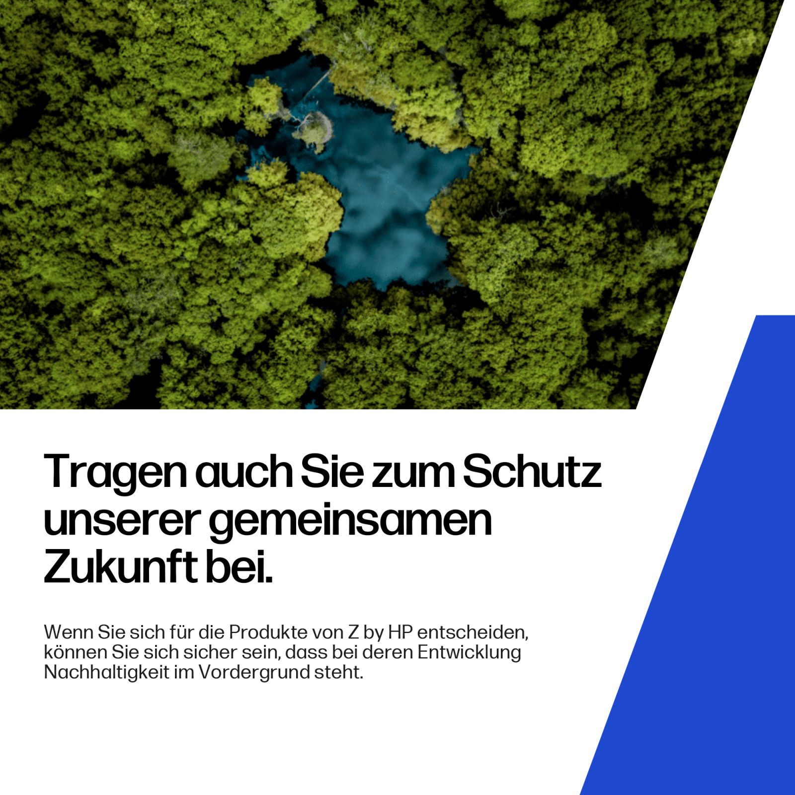 Widok z lotu ptaka na las z ciemnoniebieską wodą pośrodku.