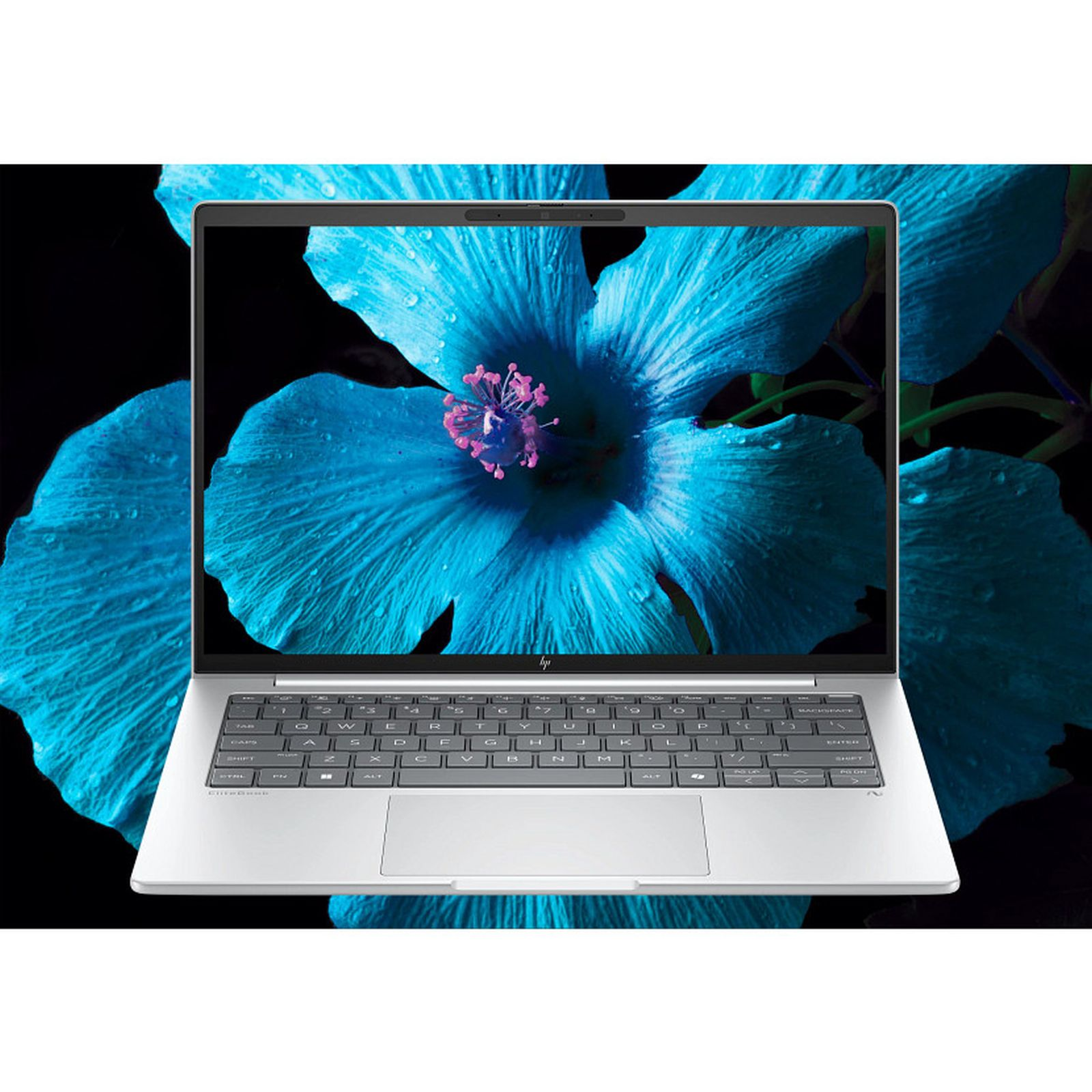 Srebrny laptop wyświetlający żywy niebieski kwiat hibiskusa z kroplami wody.
