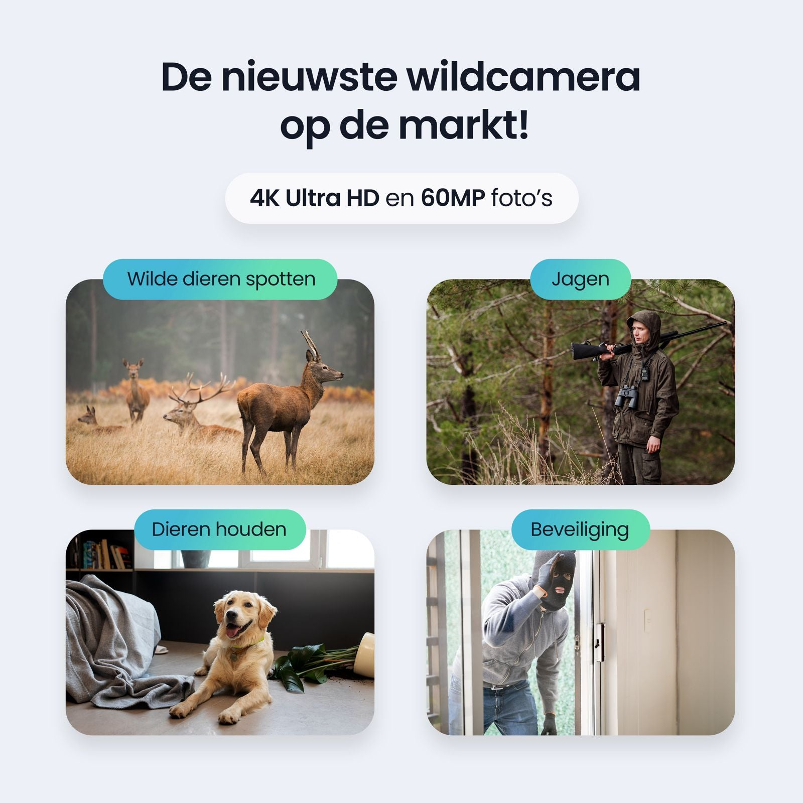 Four images: deer in field, hunter in forest, dog indoors, burglar at door.