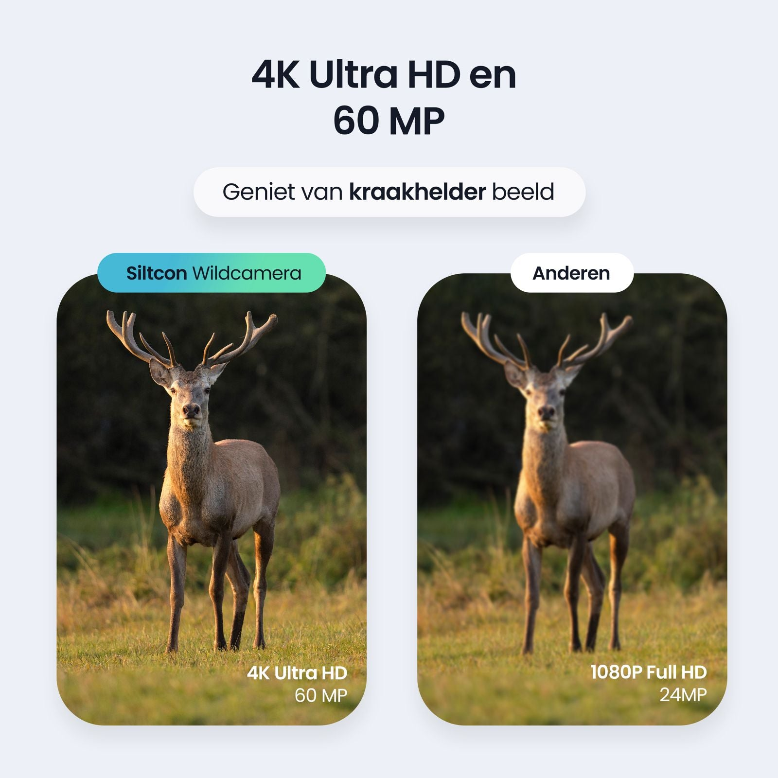LogiLink WC0066 Wildcamera met nachtzicht en bewegingsmelder, 4K