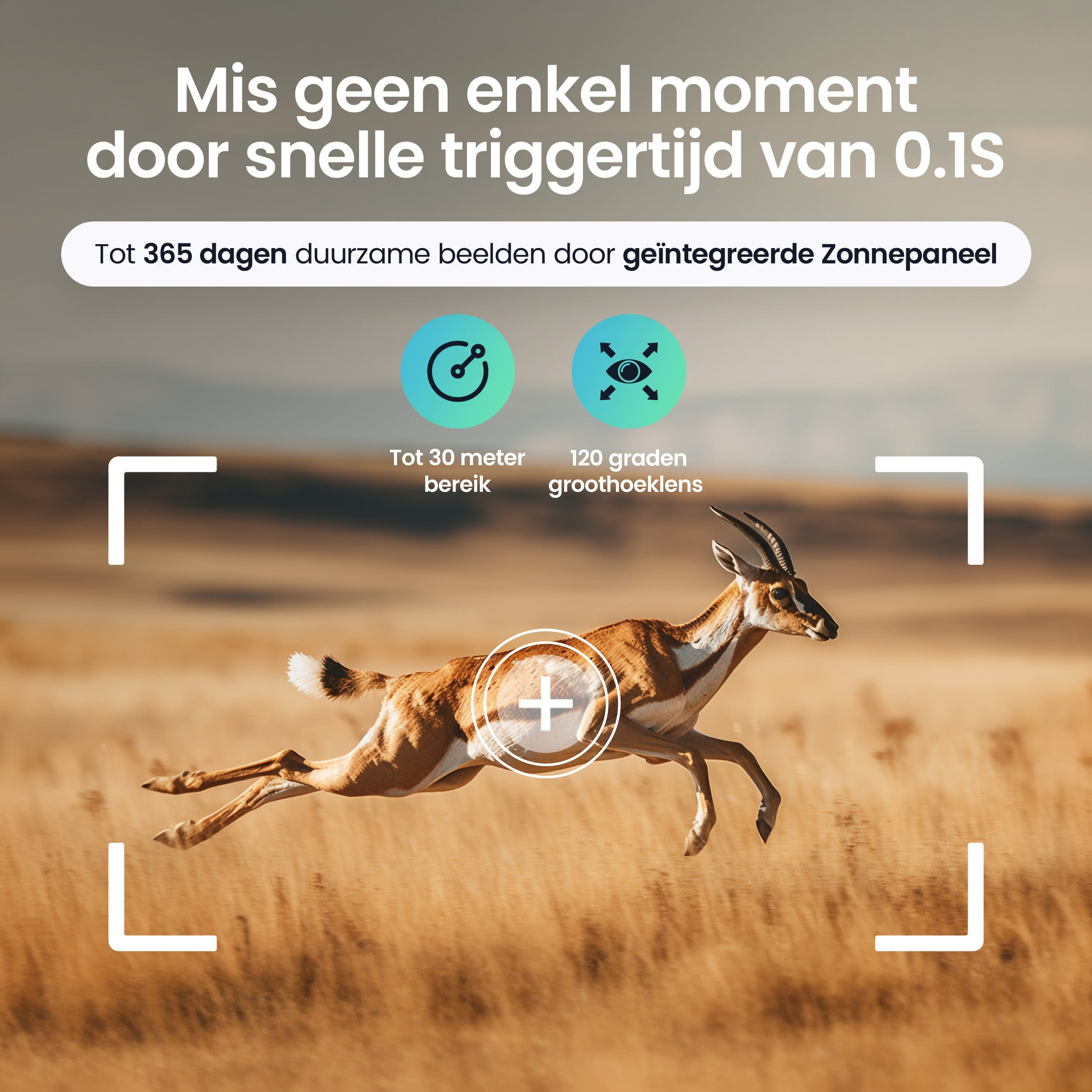 A gazelle runs through dry grass with focus markers and feature text.
