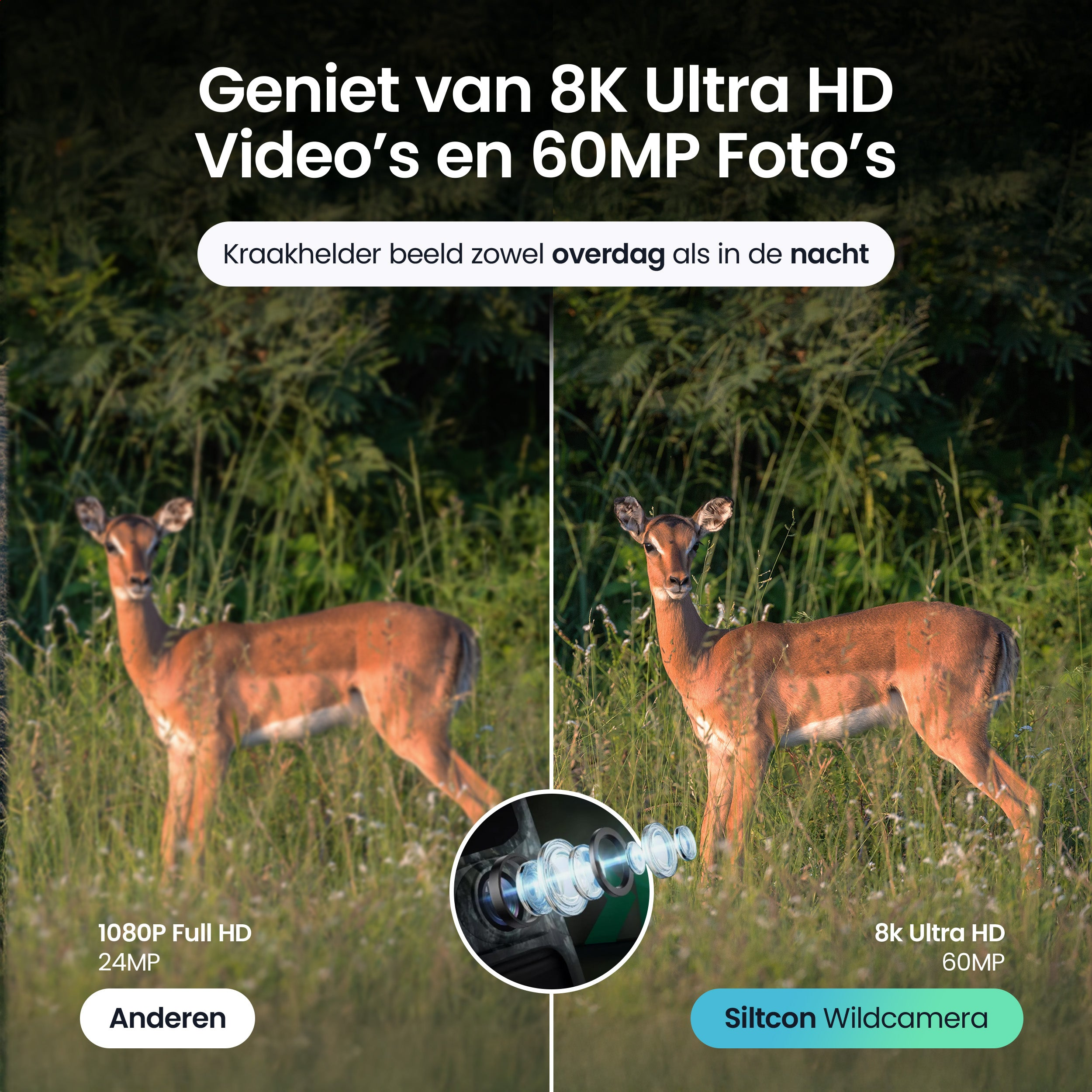 Two deer in grass, comparing 1080P and 8K resolution.