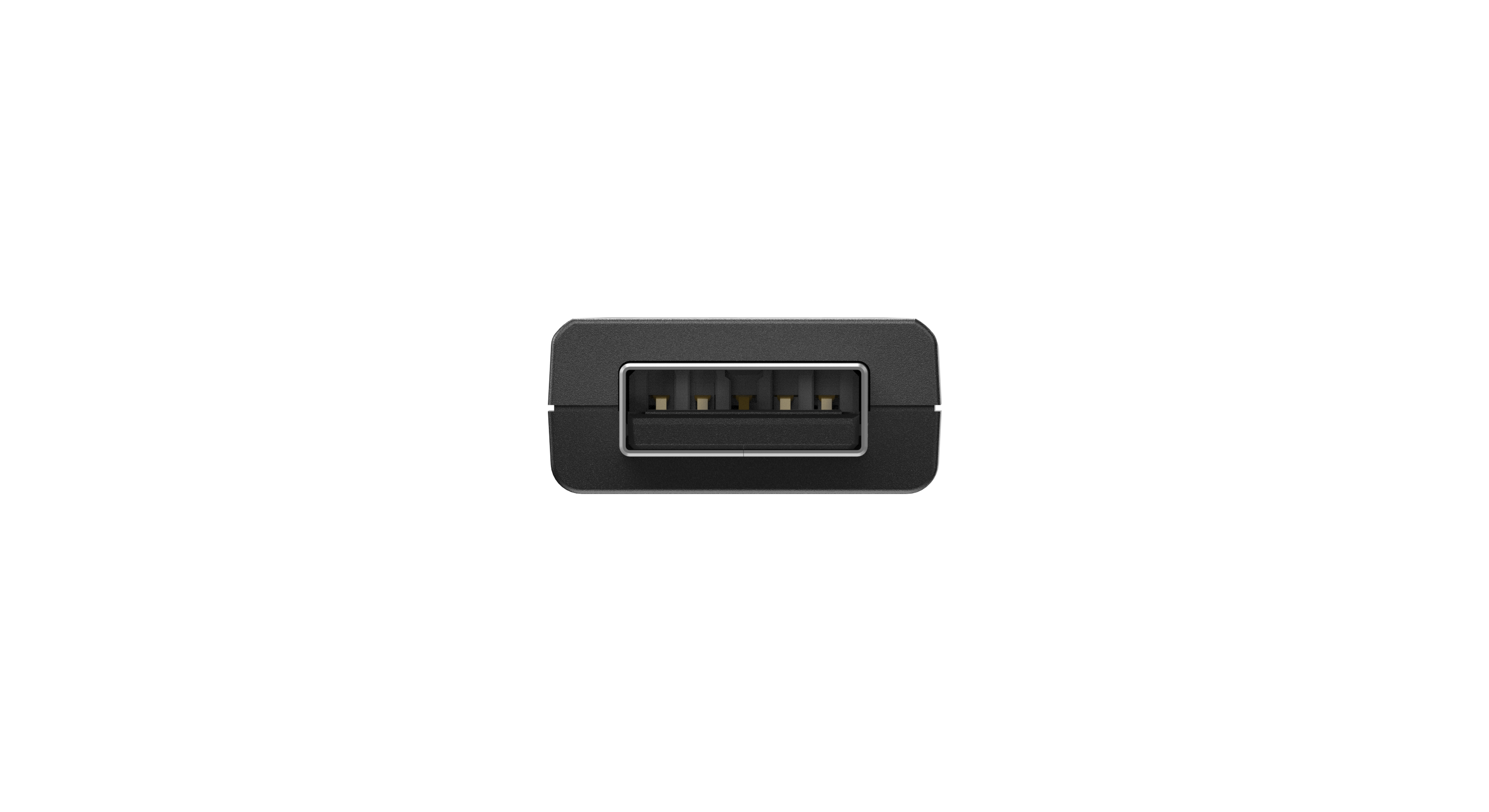 Beyaz arka plan üzerinde altın kontaklı siyah USB bağlantı noktası.