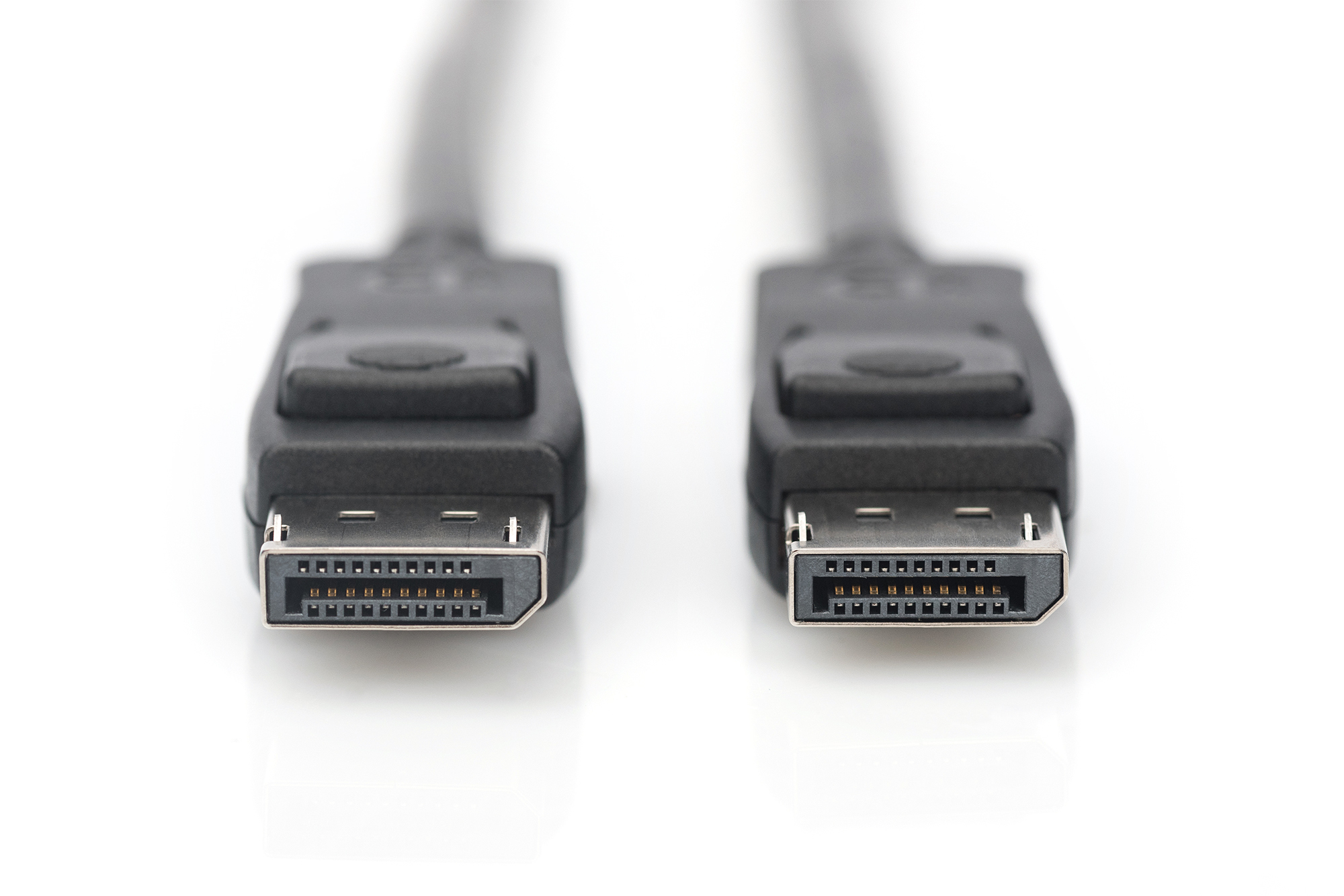 Due connettori per cavo DisplayPort su sfondo bianco.