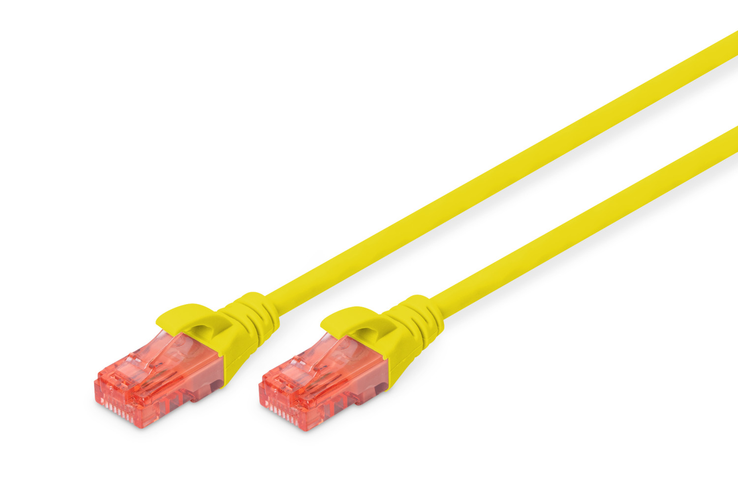 Şeffaf RJ45 konektörlü iki sarı ağ kablosu beyaz arka plan üzerinde duruyor.