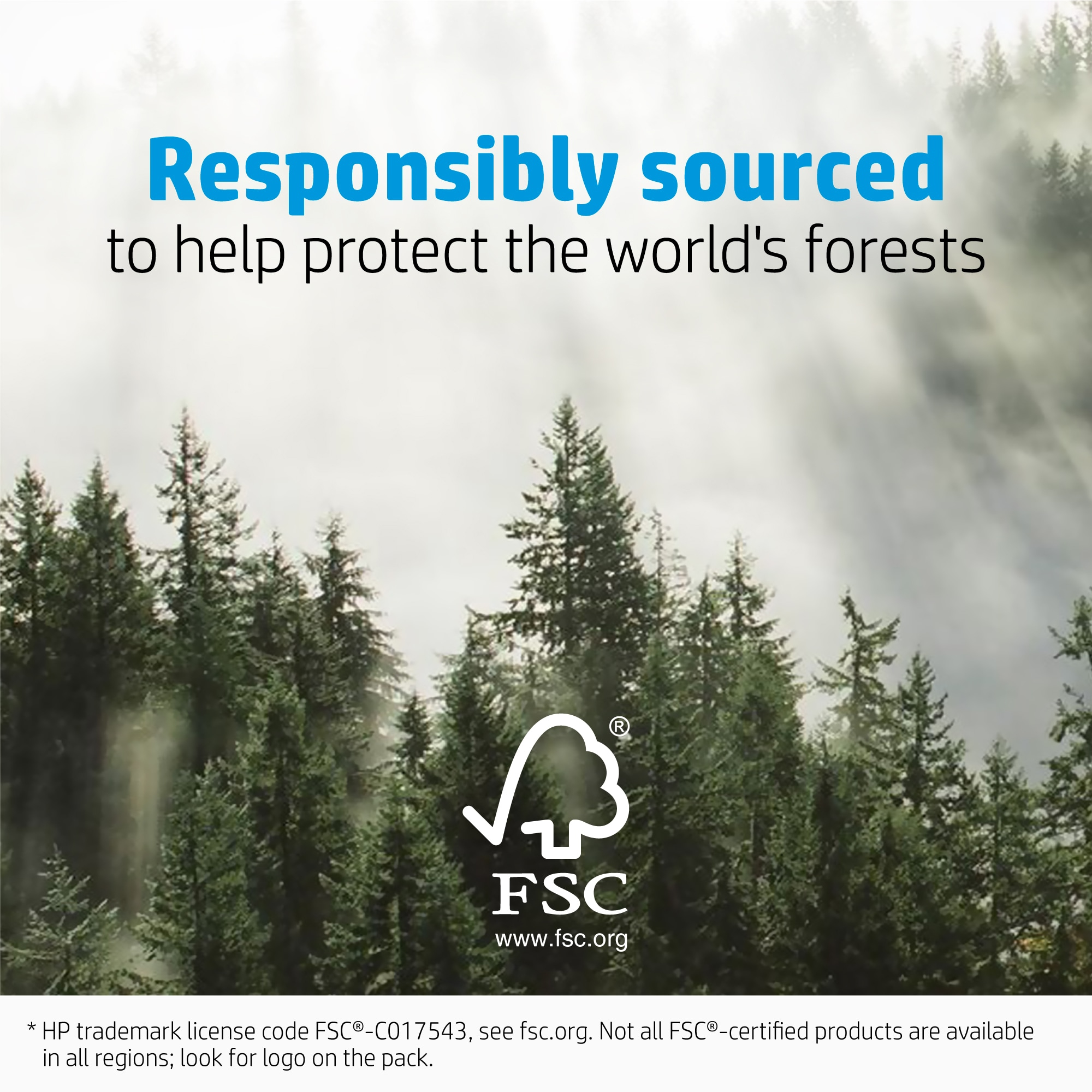 Foresta verde con logo FSC e testo 'Approvvigionato responsabilmente'.