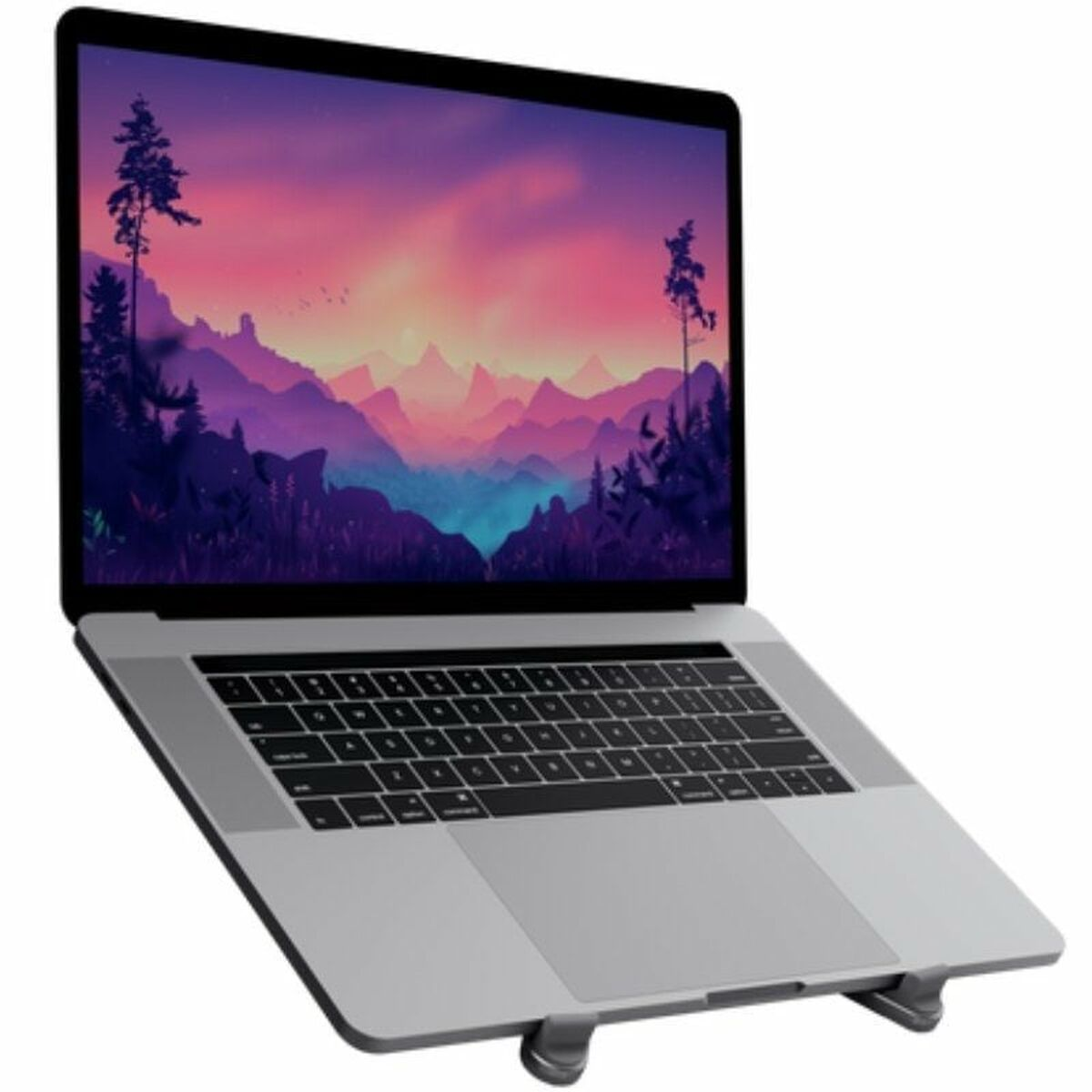 Laptop argentato su un supporto, che mostra uno sfondo paesaggio montano colorato.