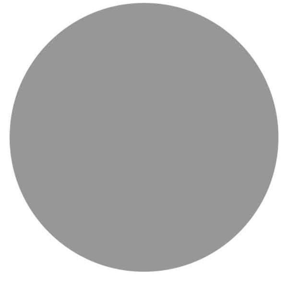 Un grande cerchio grigio su sfondo bianco.