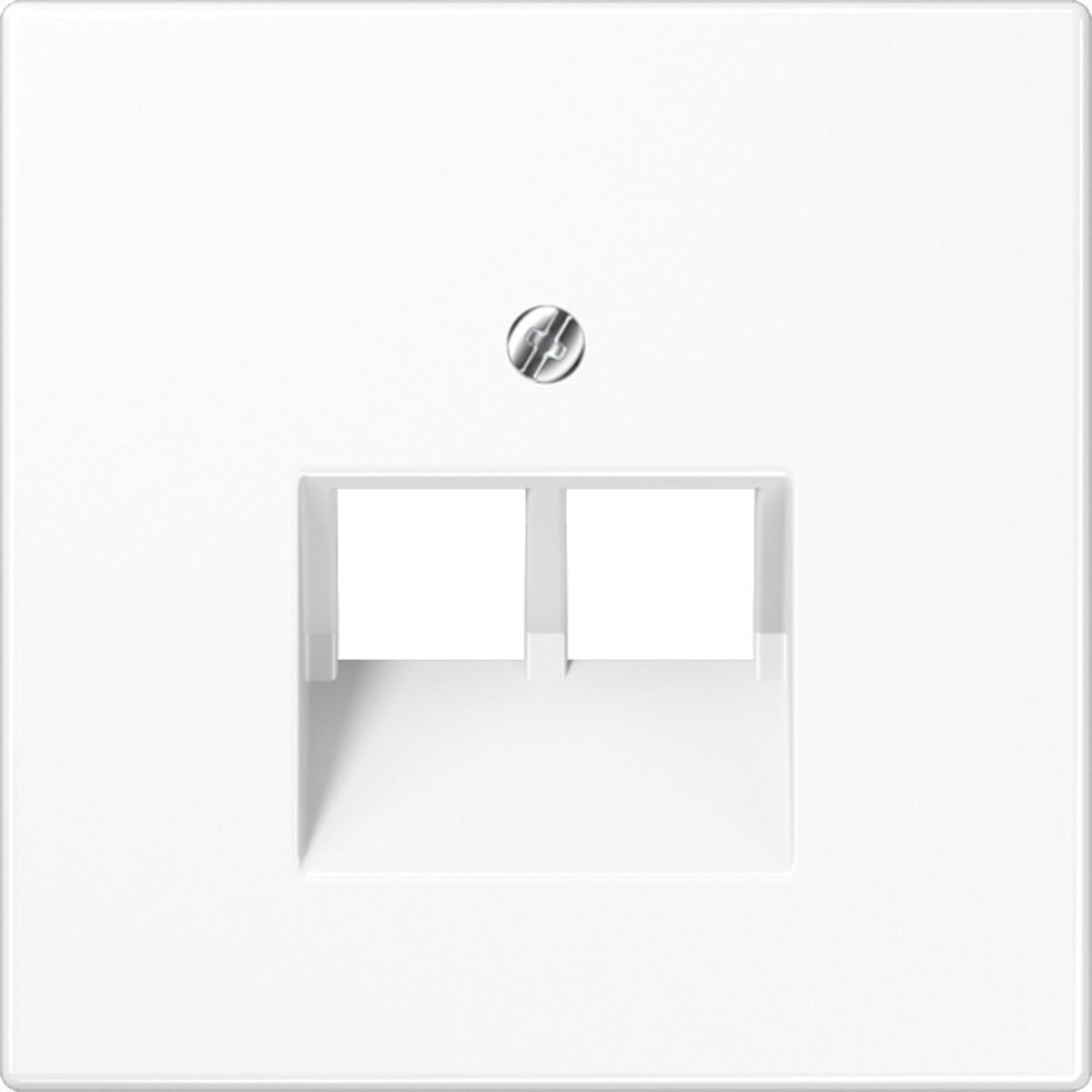 Una placca bianca con due porte RJ45 e una vite centrale.