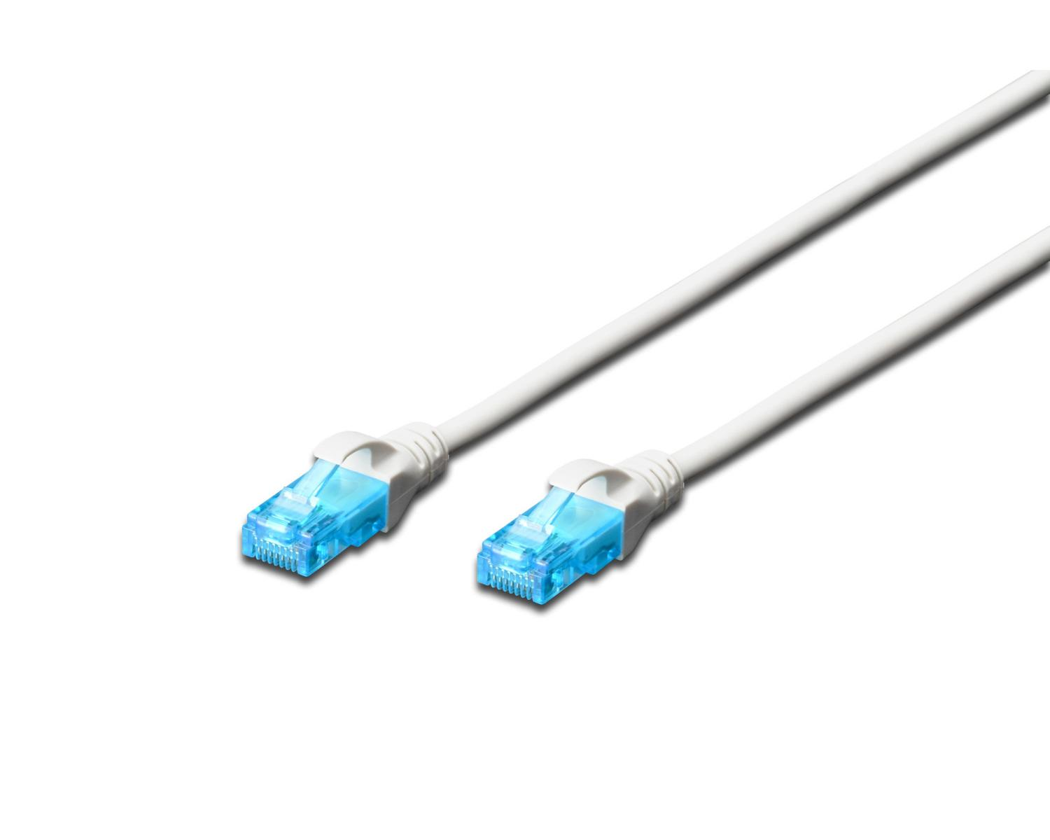 Due cavi ethernet bianchi con connettori blu su sfondo bianco.