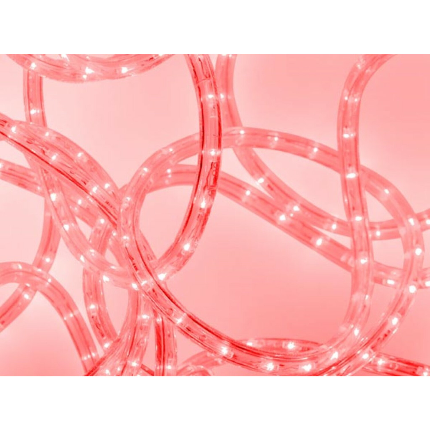 Luci di corda rosse arrotolate su uno sfondo rosa.