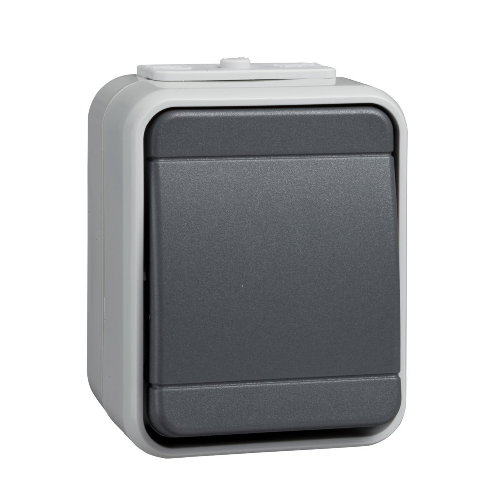 Un interruttore grigio con pulsante rettangolare in un involucro grigio.