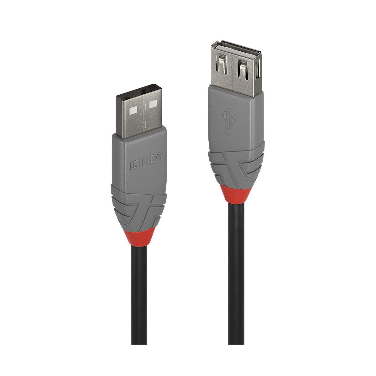Deux câbles USB Lindy avec connecteurs gris, accents rouges et fils noirs sur fond blanc.