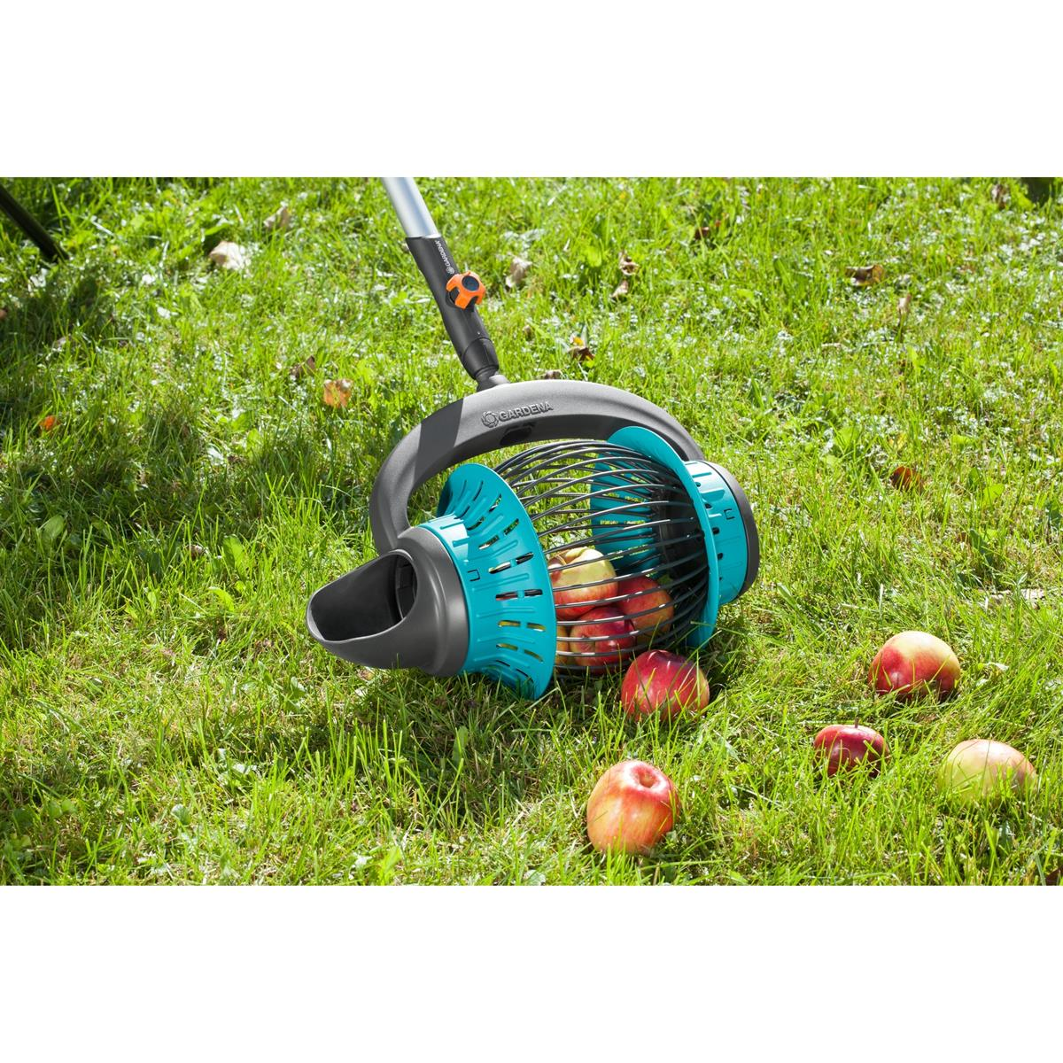 Un raccogli frutta con mele all'interno riposa sull'erba verde con mele cadute intorno.
