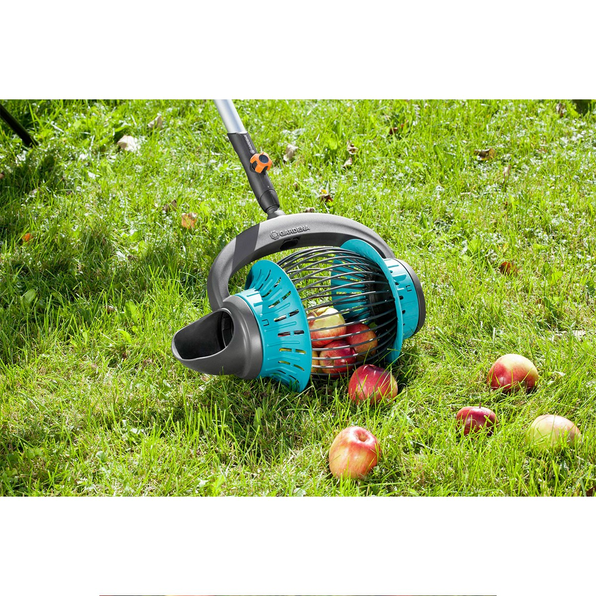 Un attrezzo da giardino con un cesto di mele su un prato.