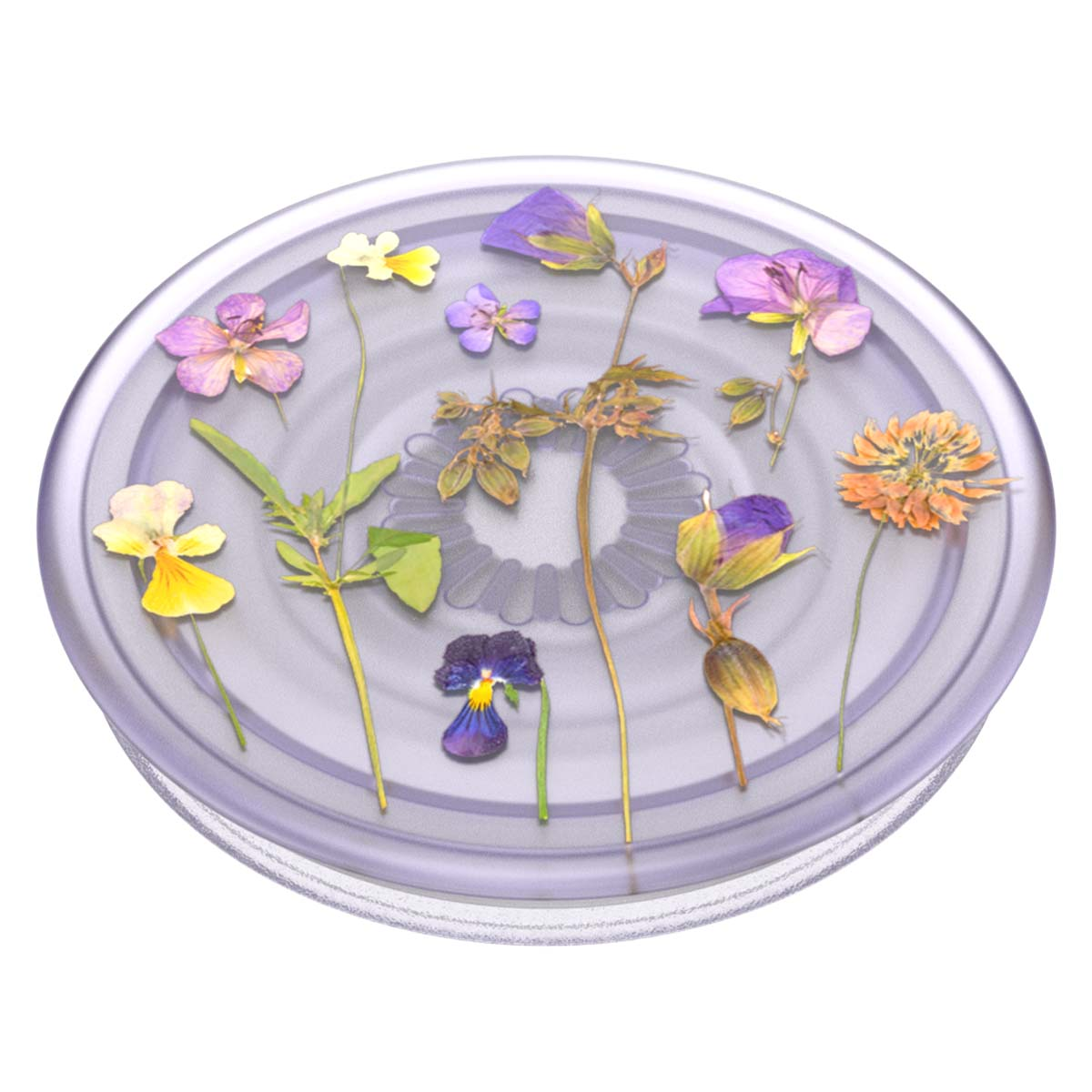 Flores secas púrpuras, amarillas y anaranjadas dispuestas en una tapa transparente.
