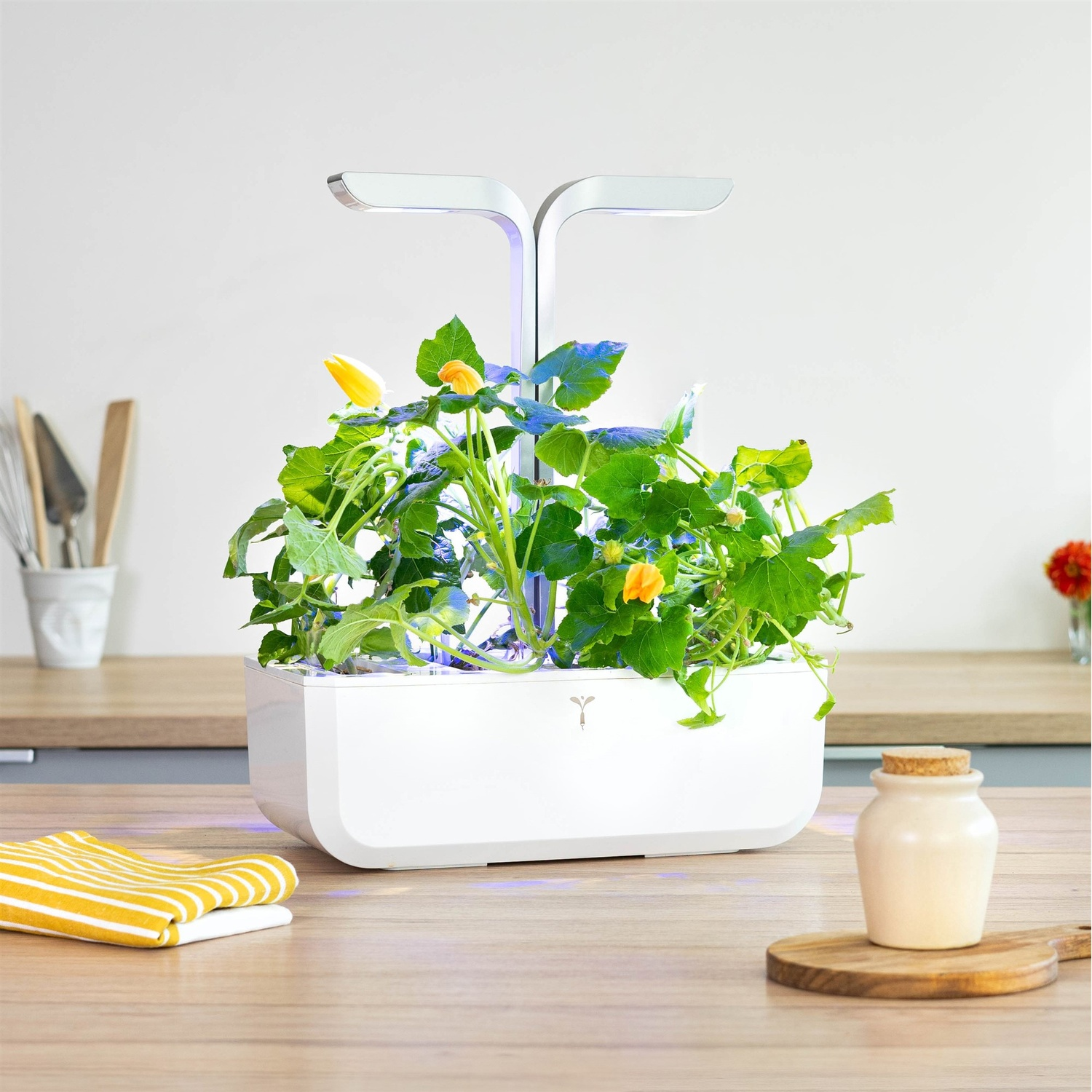 Un giardino idroponico bianco con piante verdi, fiori gialli e luce LED.