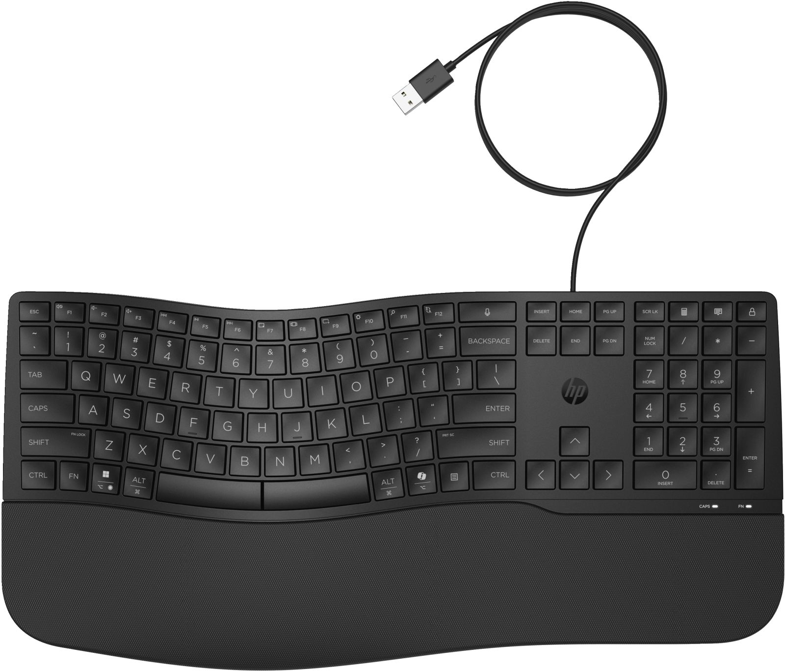 Tastiera ergonomica HP nera con cavo USB e poggiapolsi.
