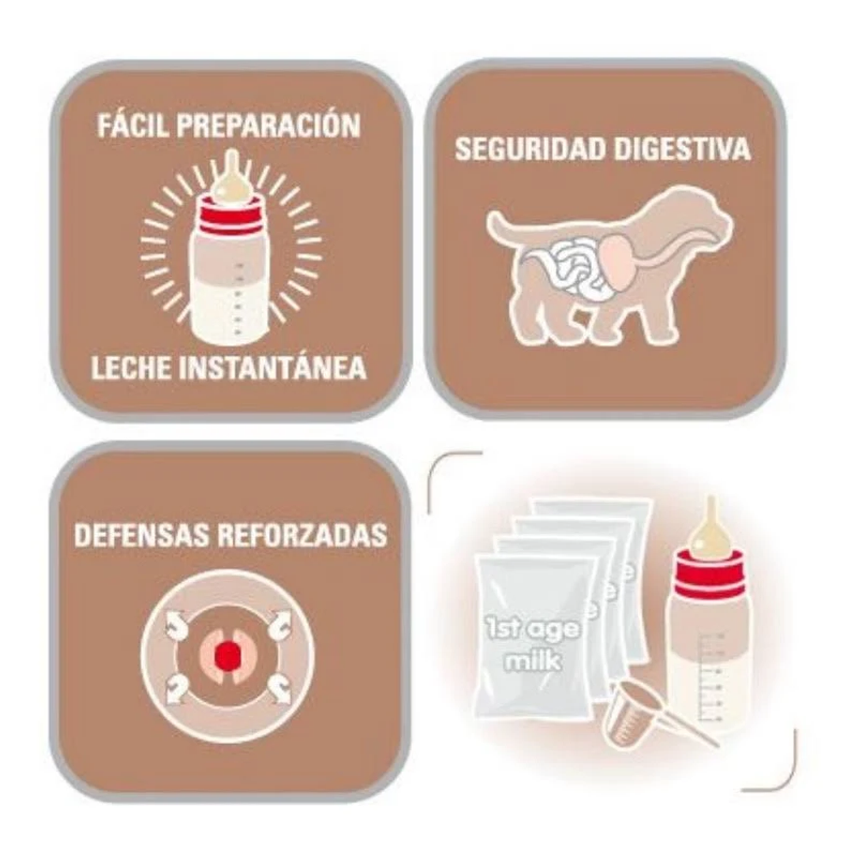 Ikony pokazują łatwe przygotowanie mleka, bezpieczeństwo trawienia z anatomią psa, wzmocnioną obronę.