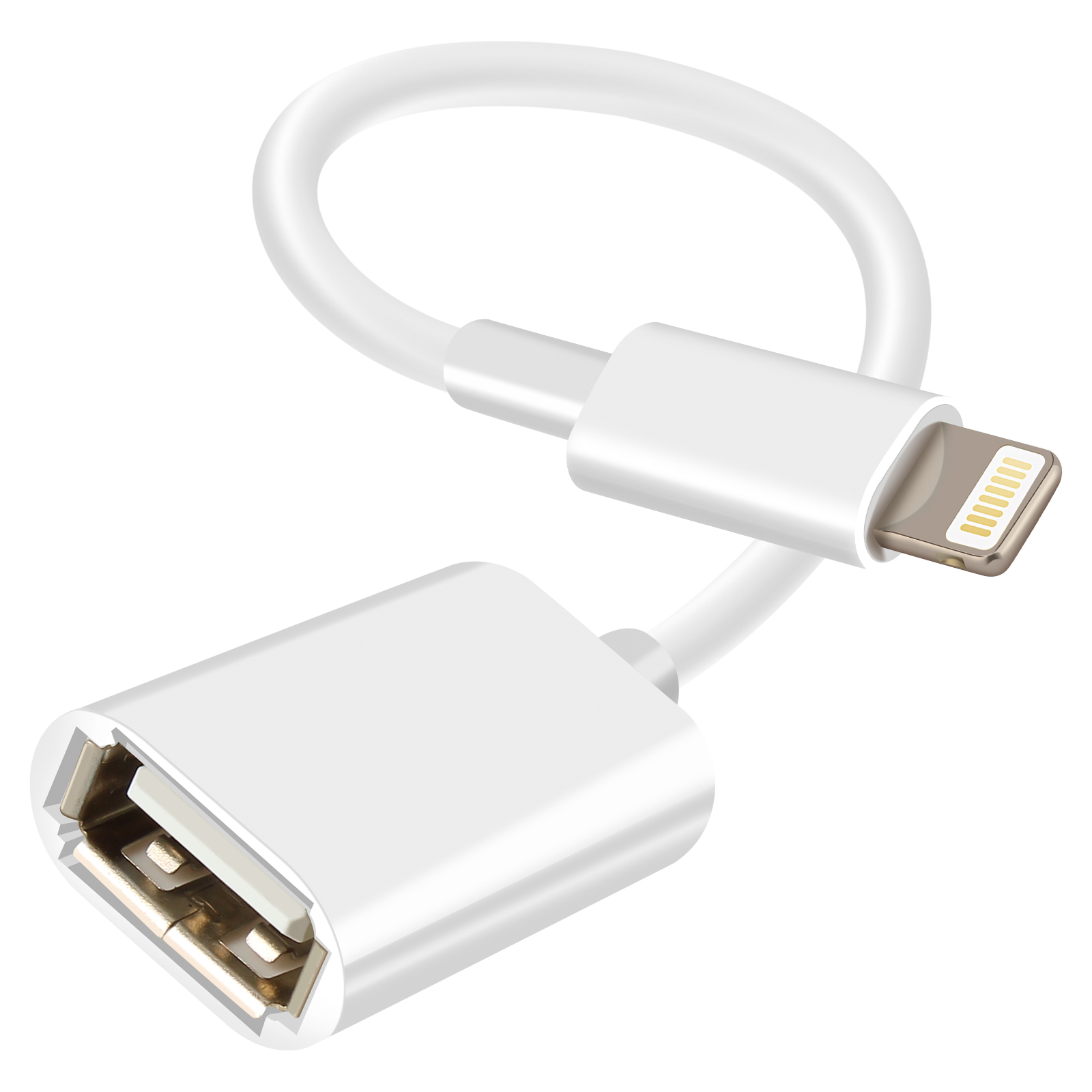 Un cavo adattatore bianco da Lightning a USB femmina per iPhone è mostrato su sfondo bianco.