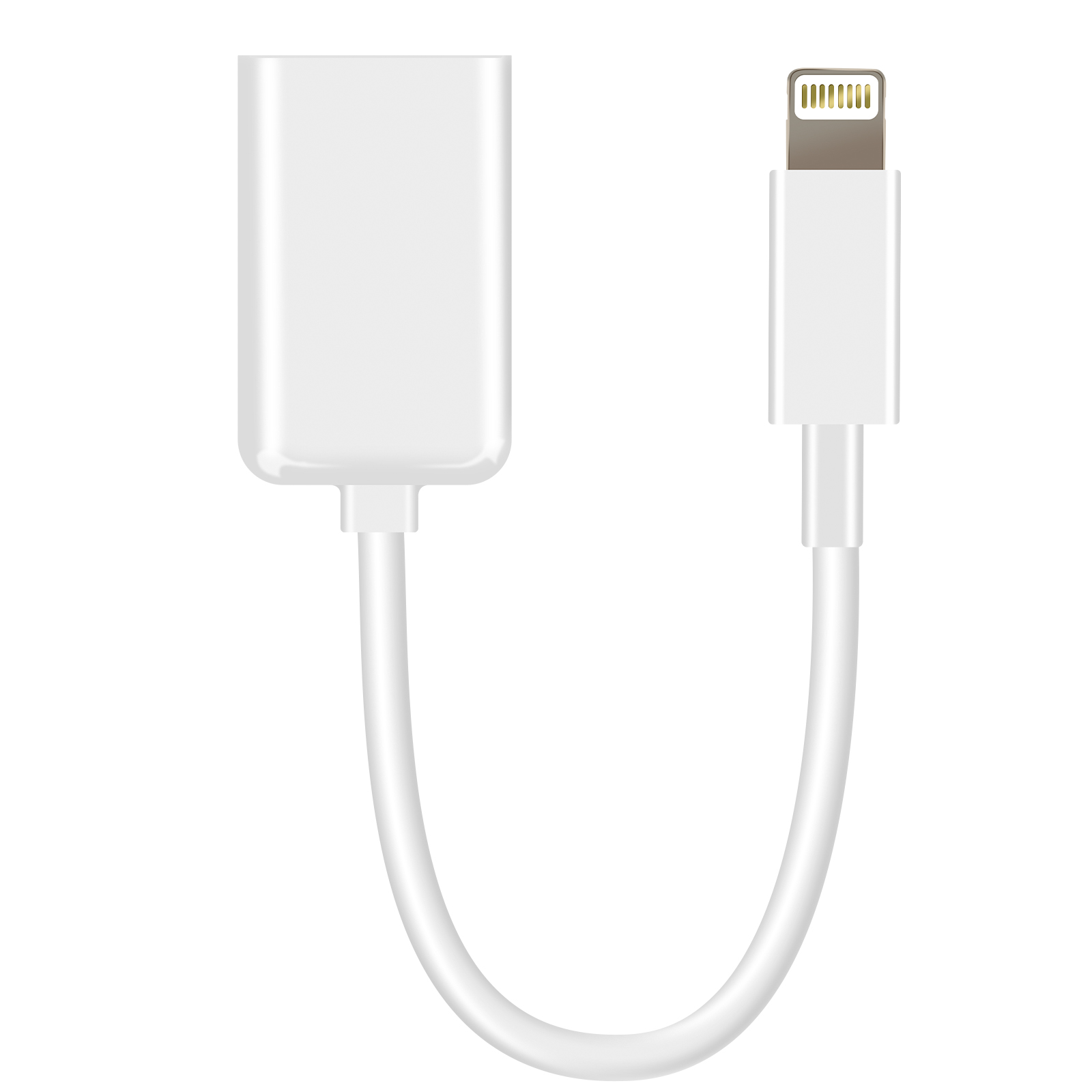 Un adattatore bianco con connettore e presa Lightning su sfondo bianco.