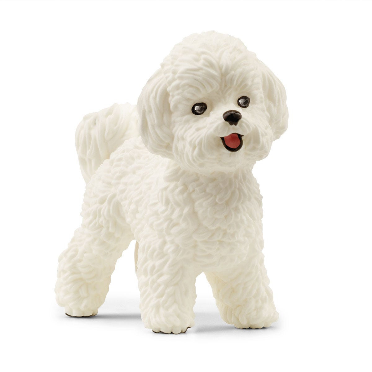 Un piccolo cane giocattolo bianco e soffice con occhi neri e lingua rosa, su sfondo bianco.