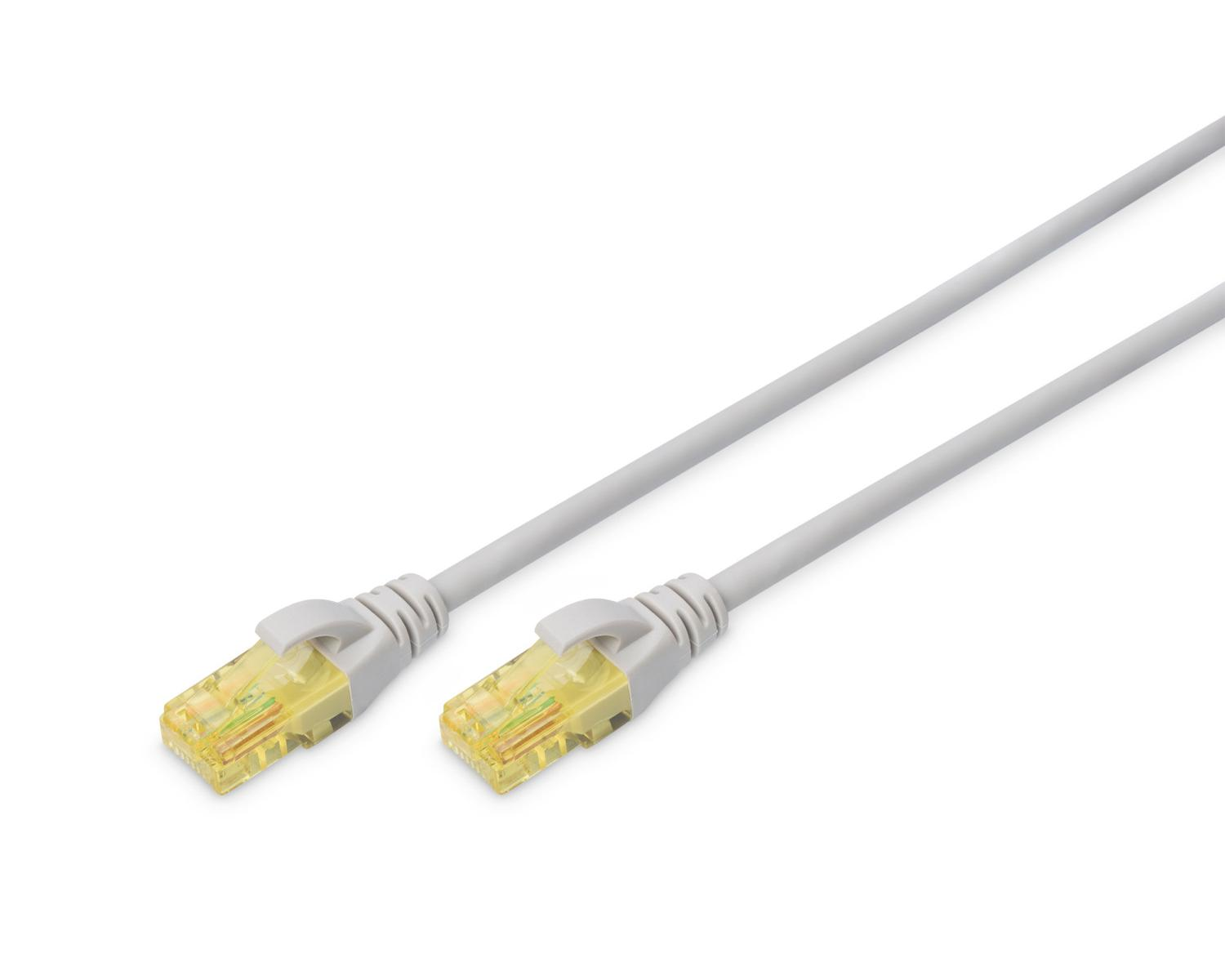 Due cavi di rete grigi con connettori RJ45 trasparenti su superficie bianca.