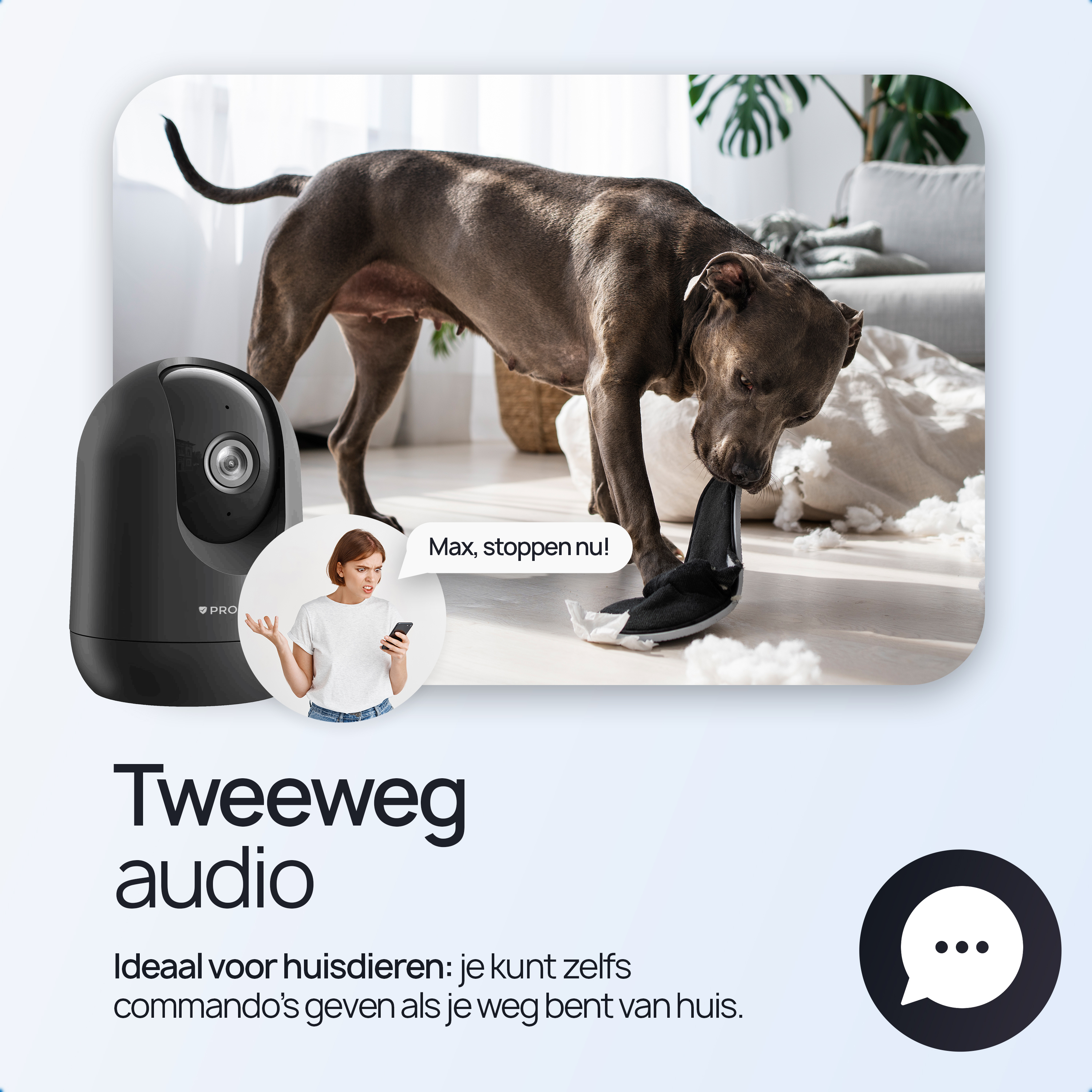 A dog chews a shoe while a woman scolds it via phone. A security camera watches.