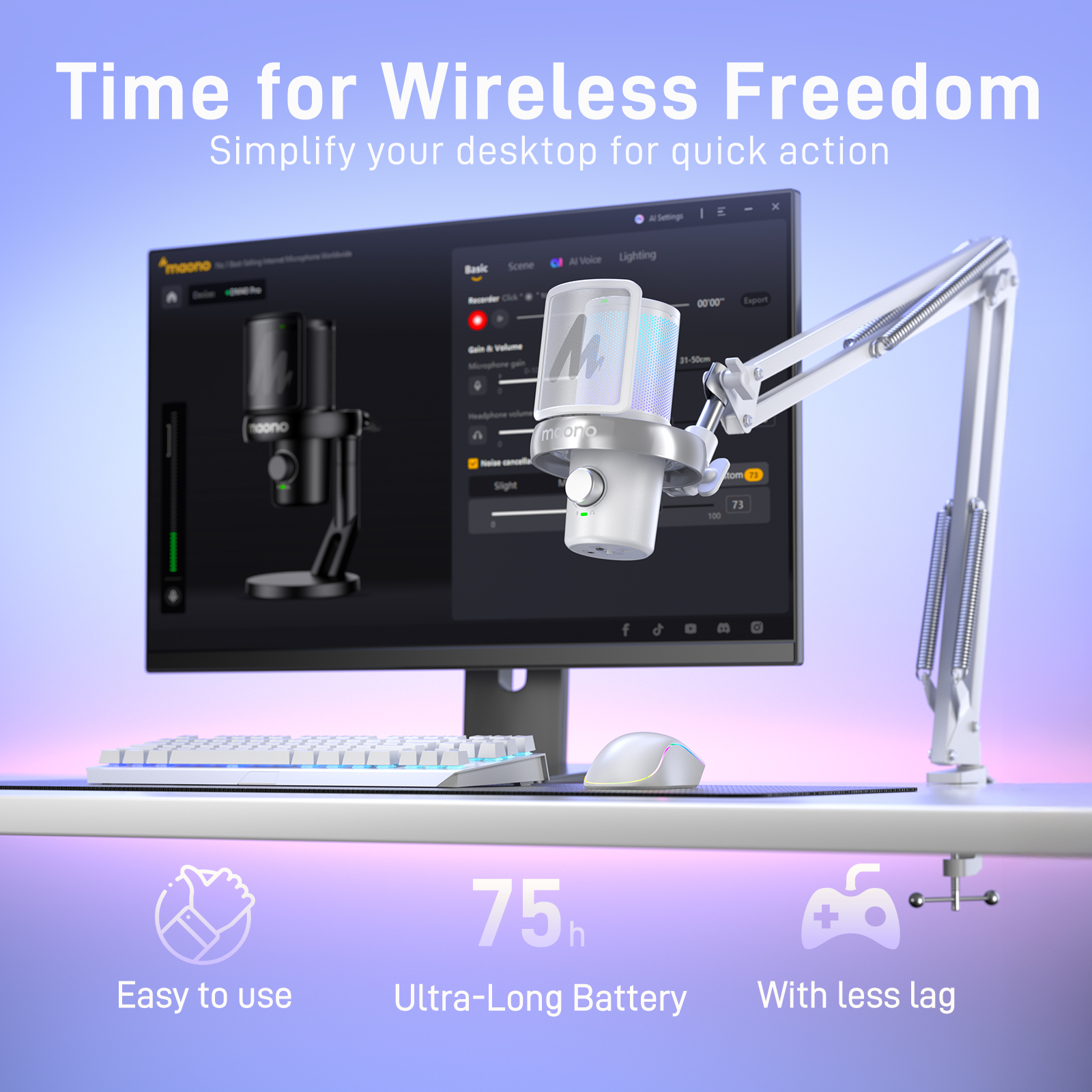 Configurazione desktop con due microfoni, un monitor di computer che mostra software, una tastiera e un mouse.