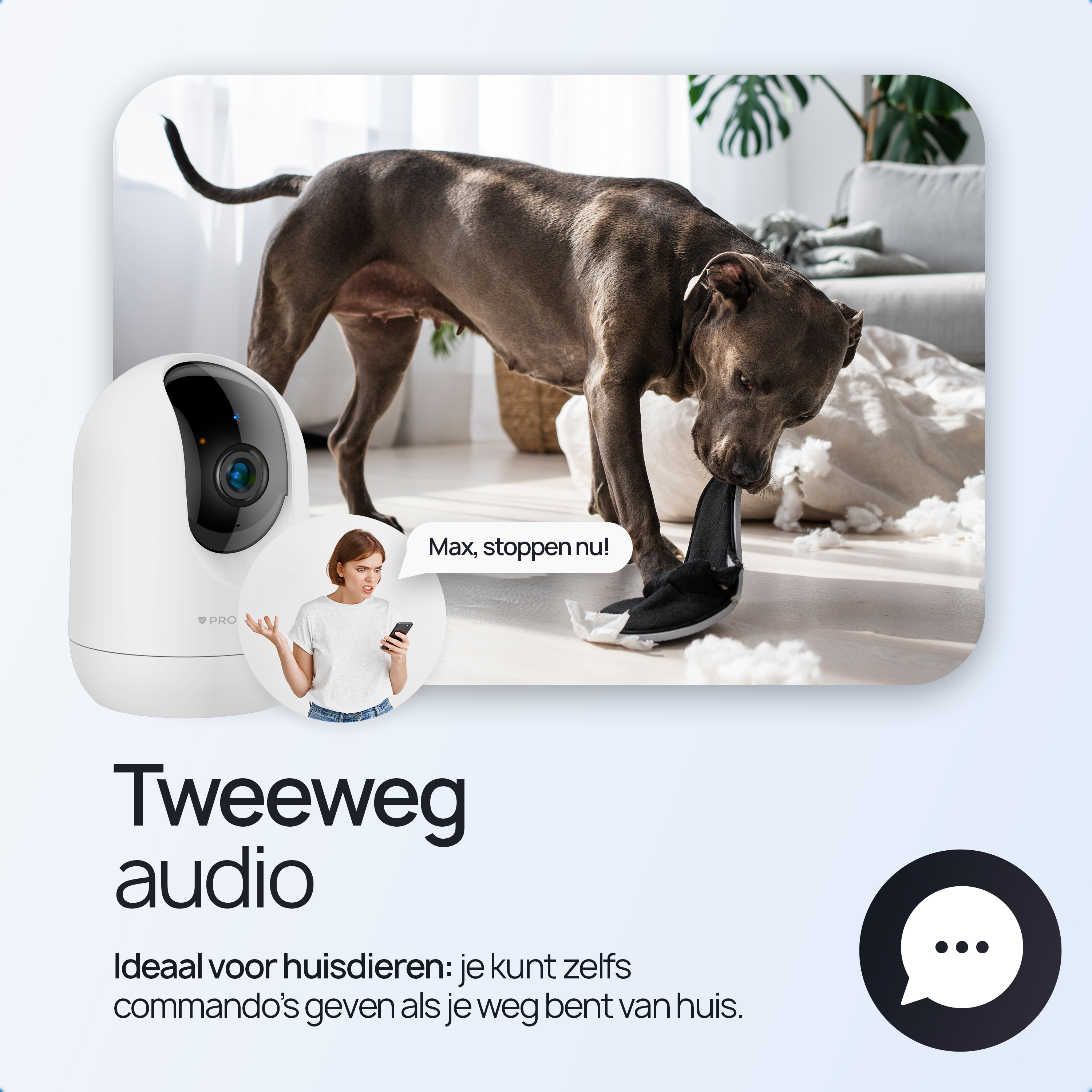 A dog chews a shoe, a camera and a woman watch.