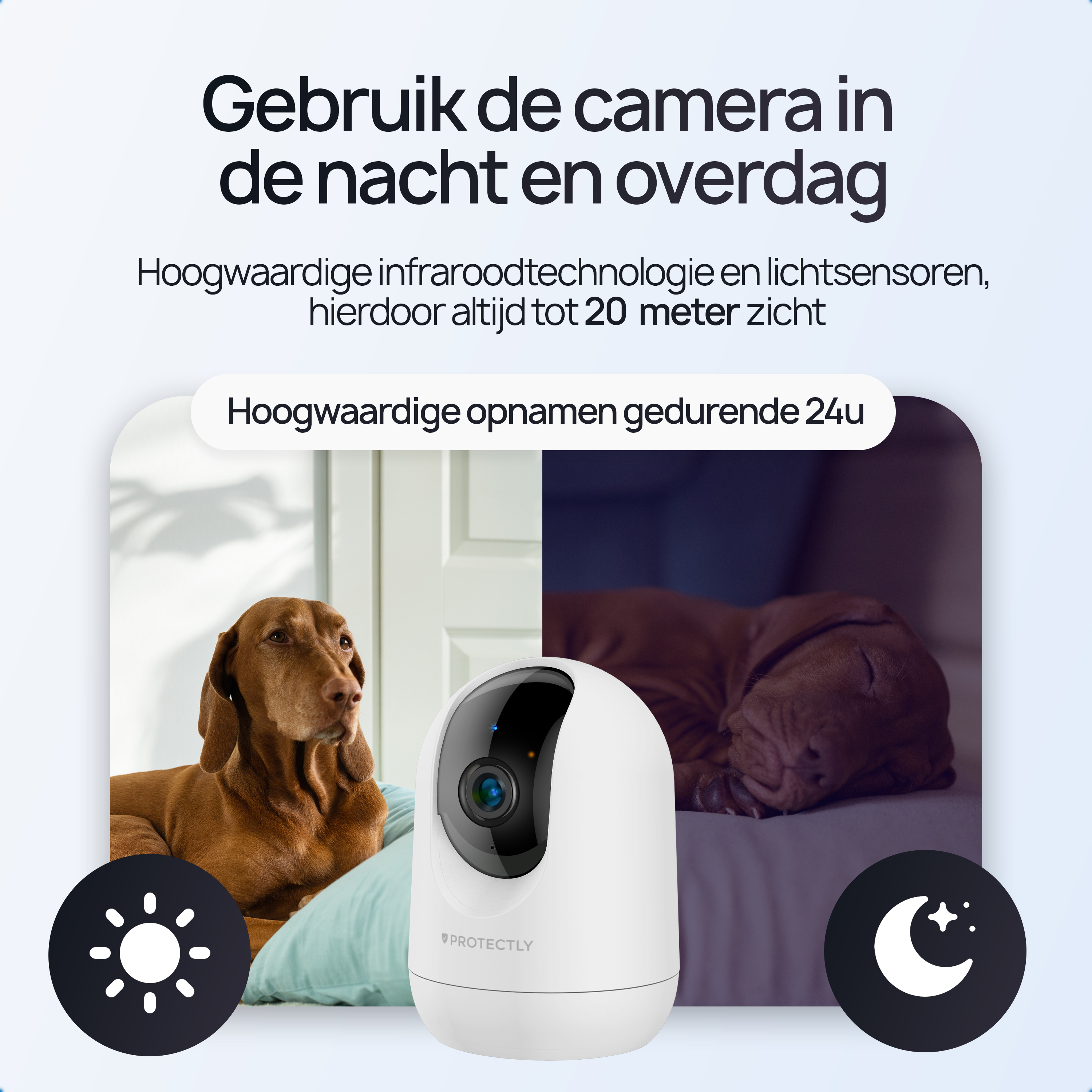 A dog rests by day and sleeps at night, next to a camera.