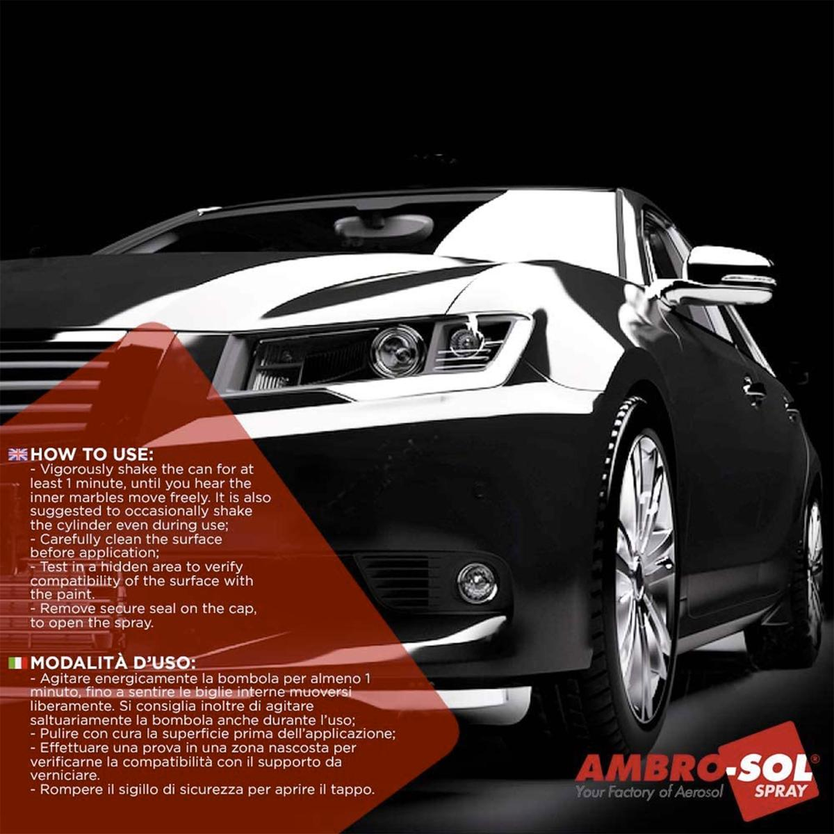 Auto nera frontale con istruzioni d'uso in inglese e italiano. Logo Ambro-Sol.