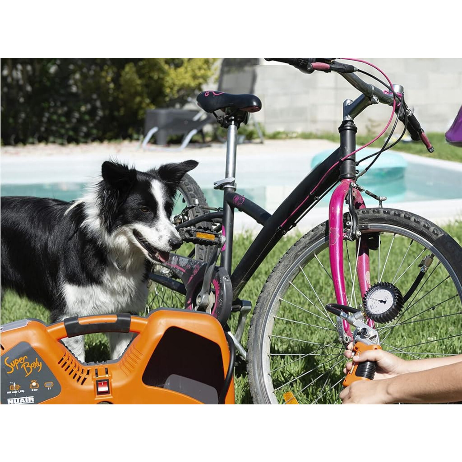 Un cane osserva mentre si gonfia uno pneumatico da bicicletta con una pompa ad aria arancione vicino a una piscina.