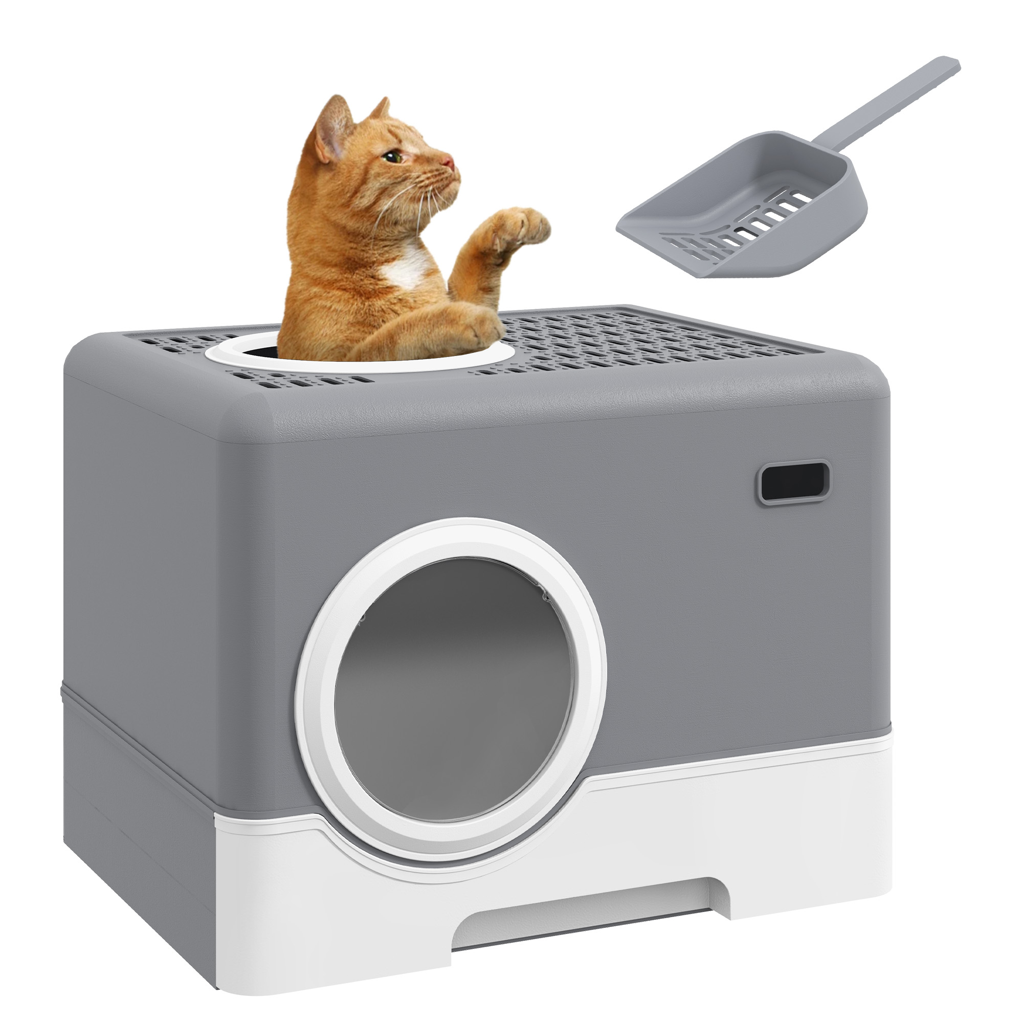 Un gatto arancione sbuca da una lettiera grigia. Una paletta riposa accanto.