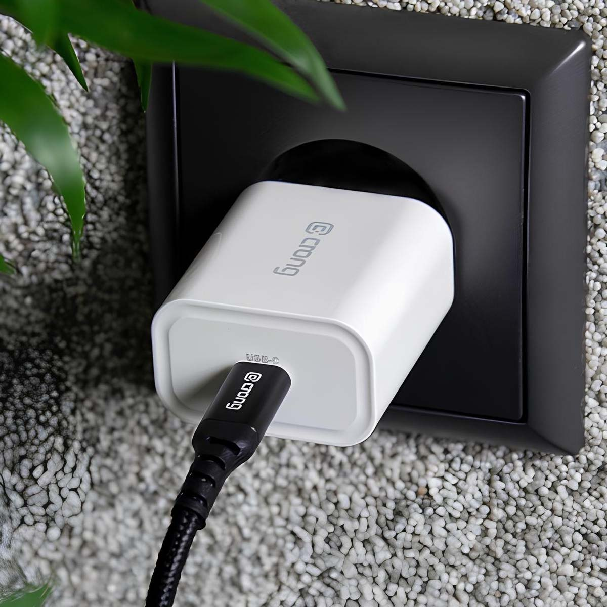 Una spina USB-C bianca inserita in una presa elettrica nera vicino a una pianta.