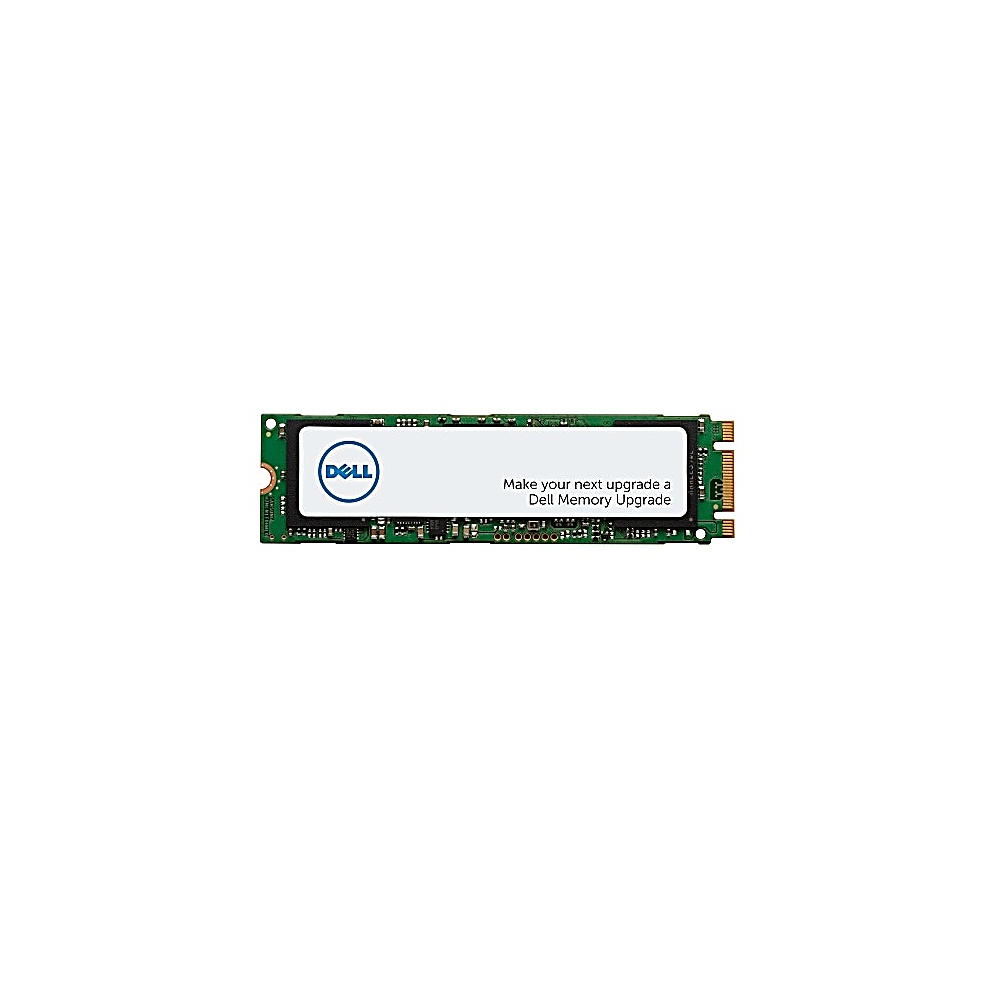 Una memoria RAM Dell con logo e testo Dell.