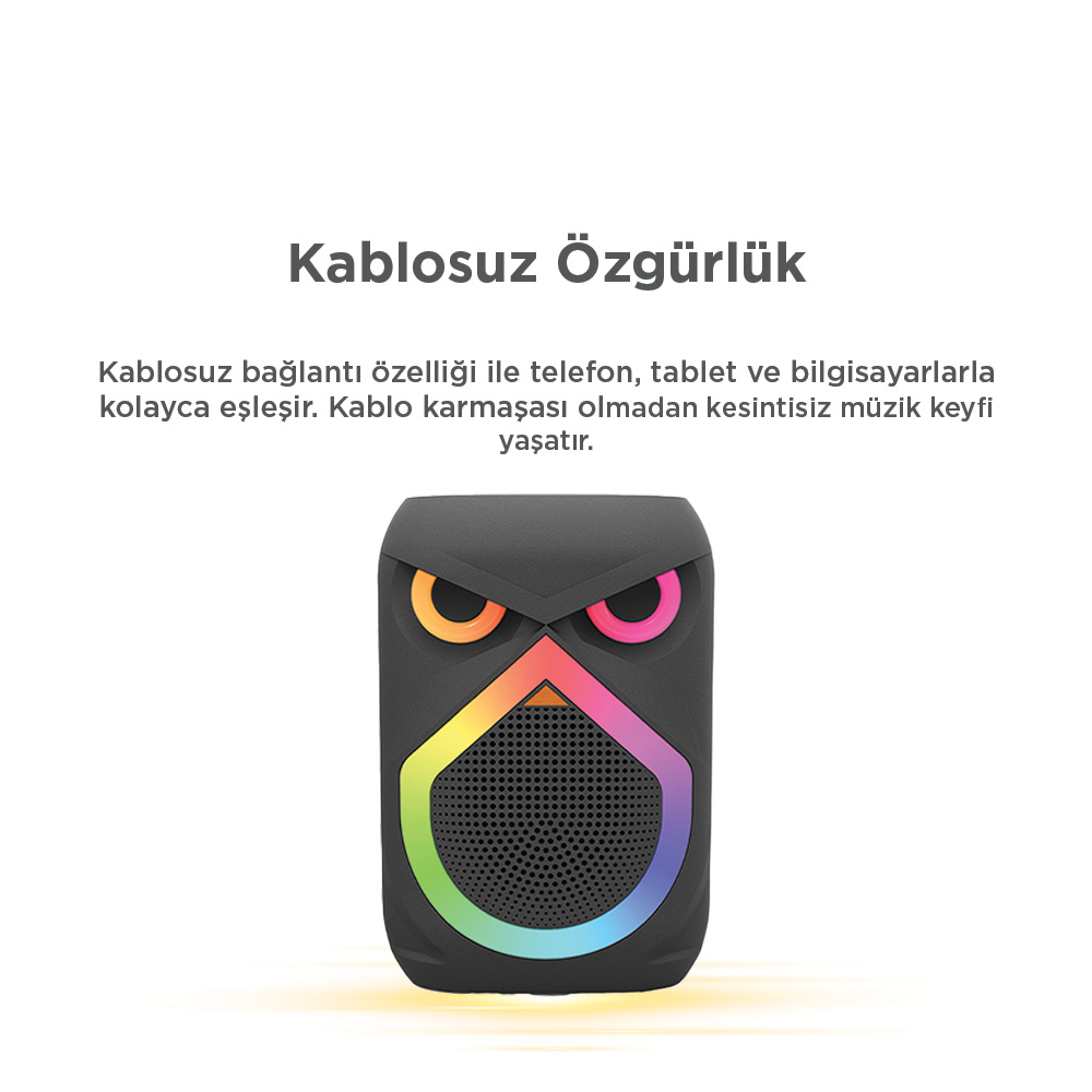 TORIMA D80 Kablosuz Taşınabilir 12W RGB Işıklı Mikrofonlu