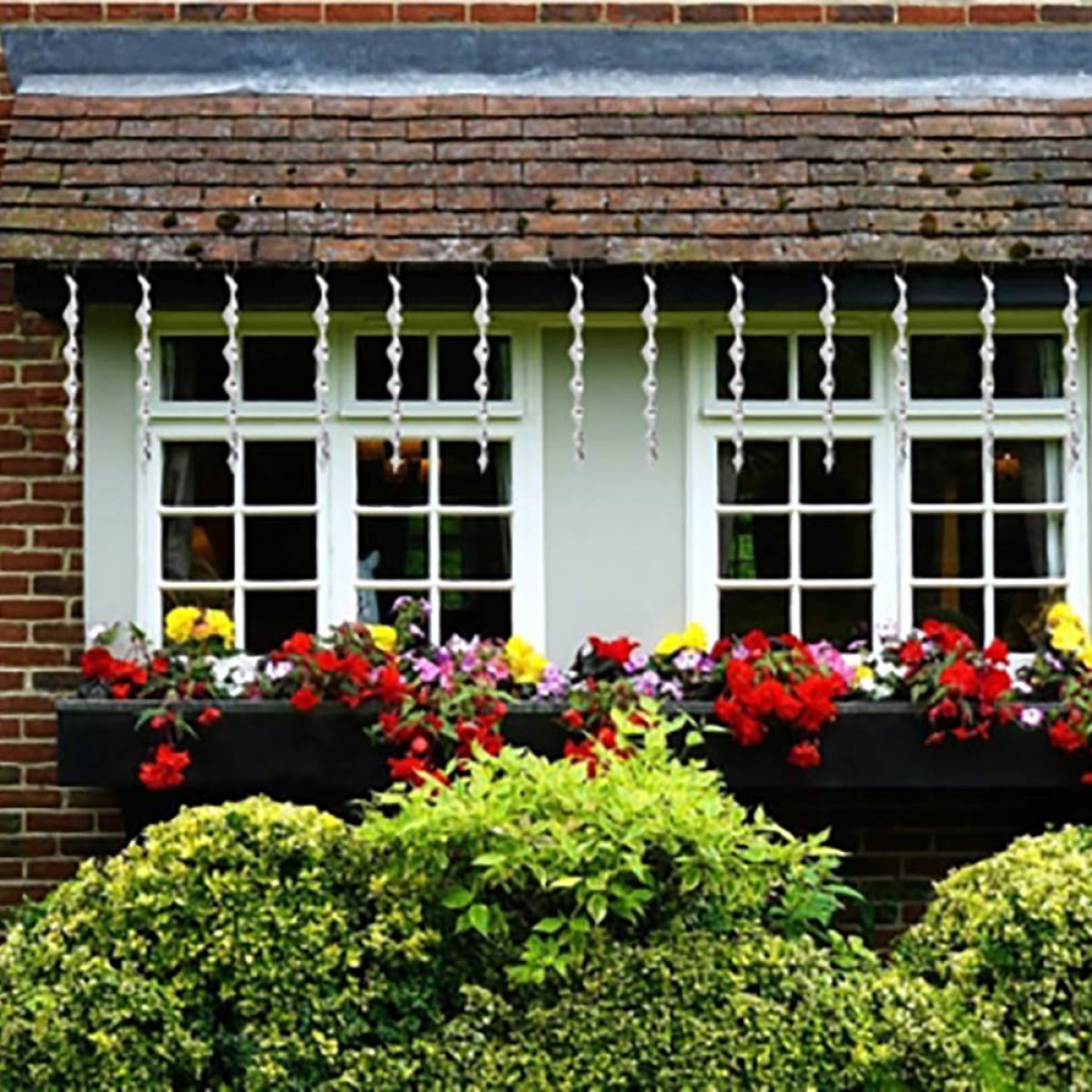 Two white-paned windows adorned with hanging icicle decorations above a flower box with red and yellow flowers.