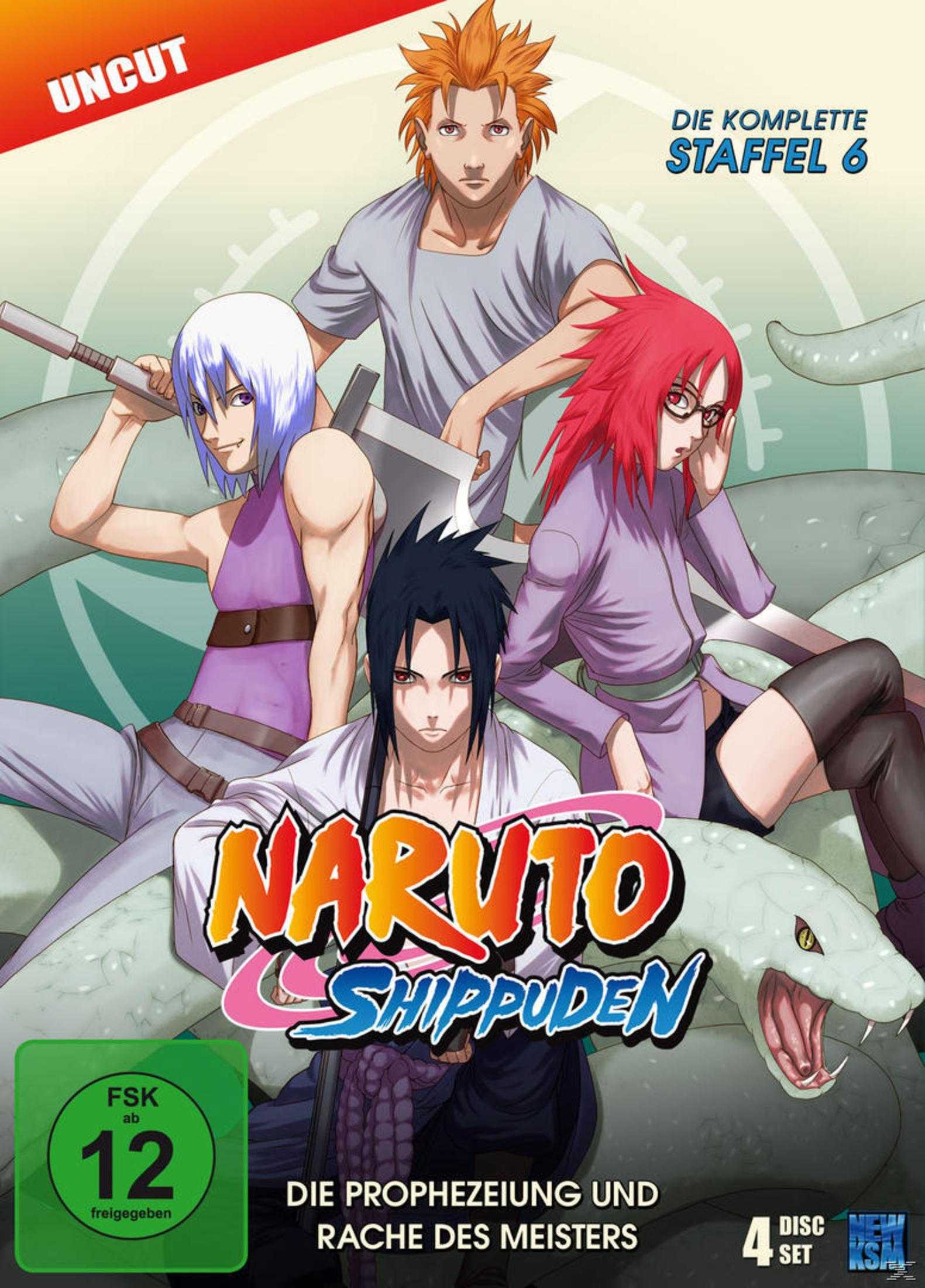 Copertina di Naruto Shippuden Stagione 6 con quattro personaggi e un serpente.